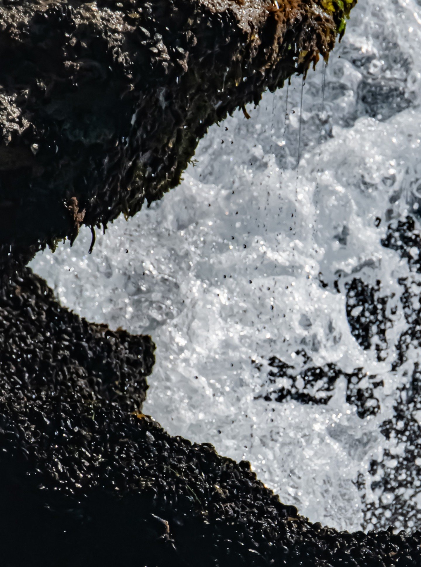 Each droplet holds its own story of movement, reflecting the ongoing dialogue between land and sea. You too have your own story. A reminder that we are nature.