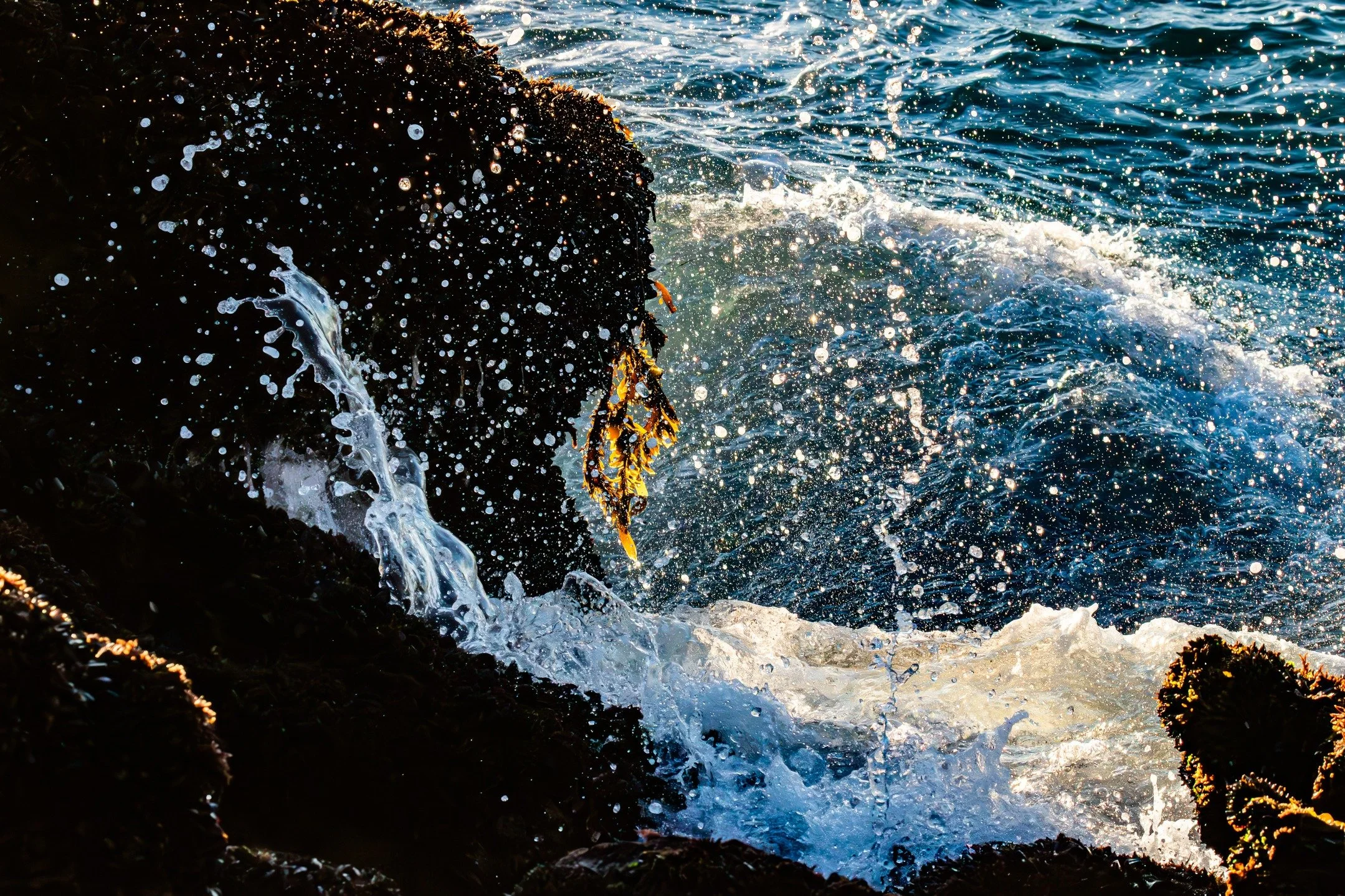 This wave isn&rsquo;t calm or still, yet look at how every drop turns to gold when the sun hits it.
That is how healing works too. You don&rsquo;t have to be quiet, perfect, or steady
to be worthy of beauty.
#beauty #healingincommunity #natureexpress