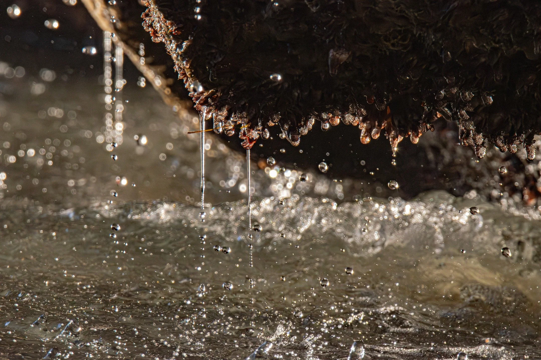 This photo reminds us that not all progress feels big or dramatic. Sometimes, healing looks like slow drips of clarity, moments that barely make a sound, but still change everything.
#healing #healingphotography ##healingdecor