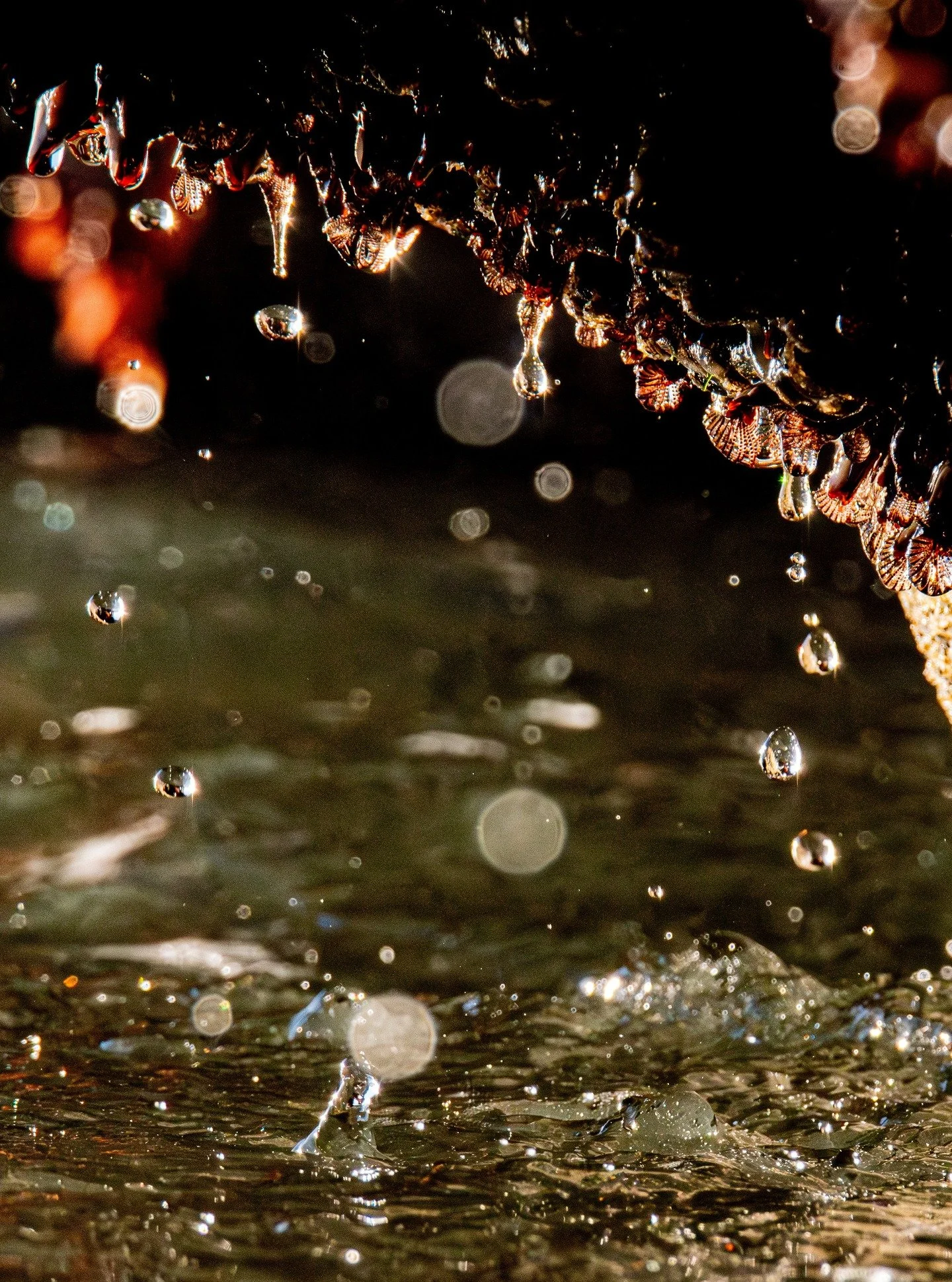 We are nature, remember that.
#nature