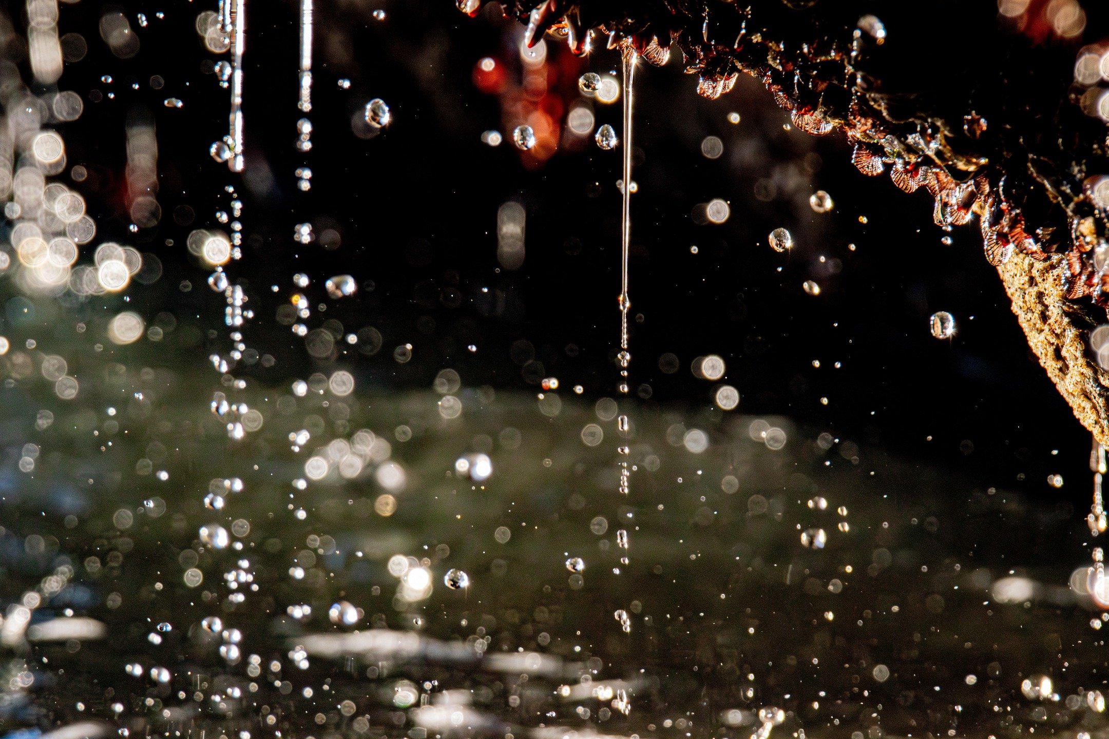 This photo is a reminder that if life feels heavy, it is safe to slow down.
#lifequotes #healingdecor #homeinteriors #eternaledgephotography #officeinterior