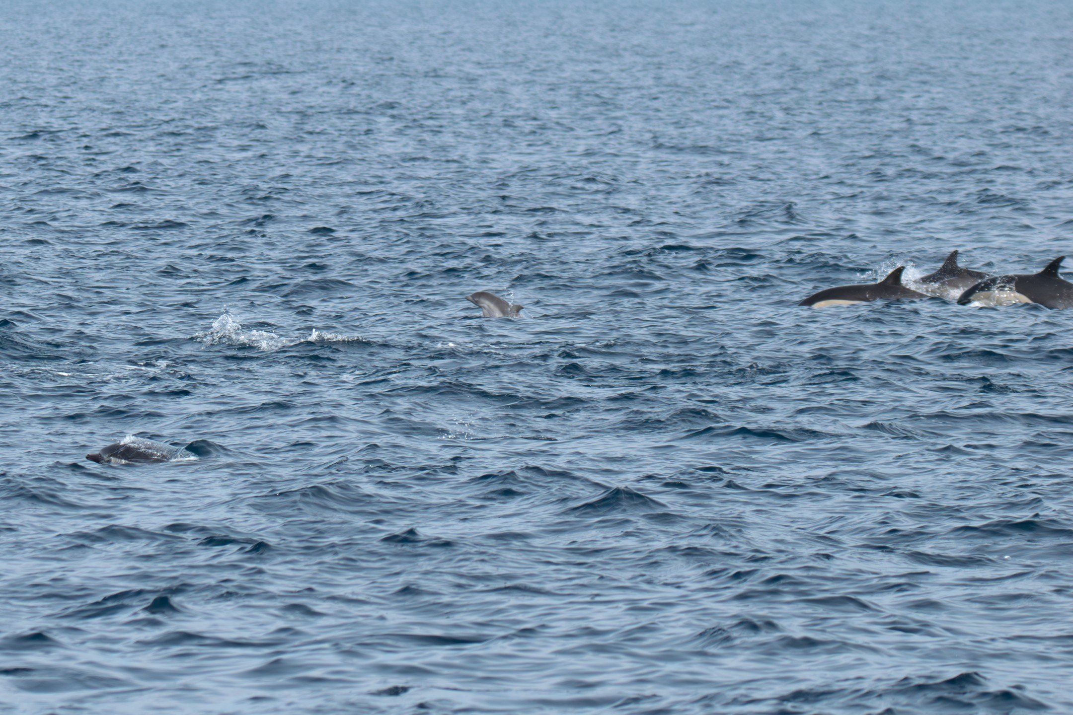 I create grounding nature art to help bring softness, presence, and humanity back into the spaces where people are healing, resting, and navigating hard moments.

Your walls can do more than just look nice.

Follow Me to see Southern California Art.
