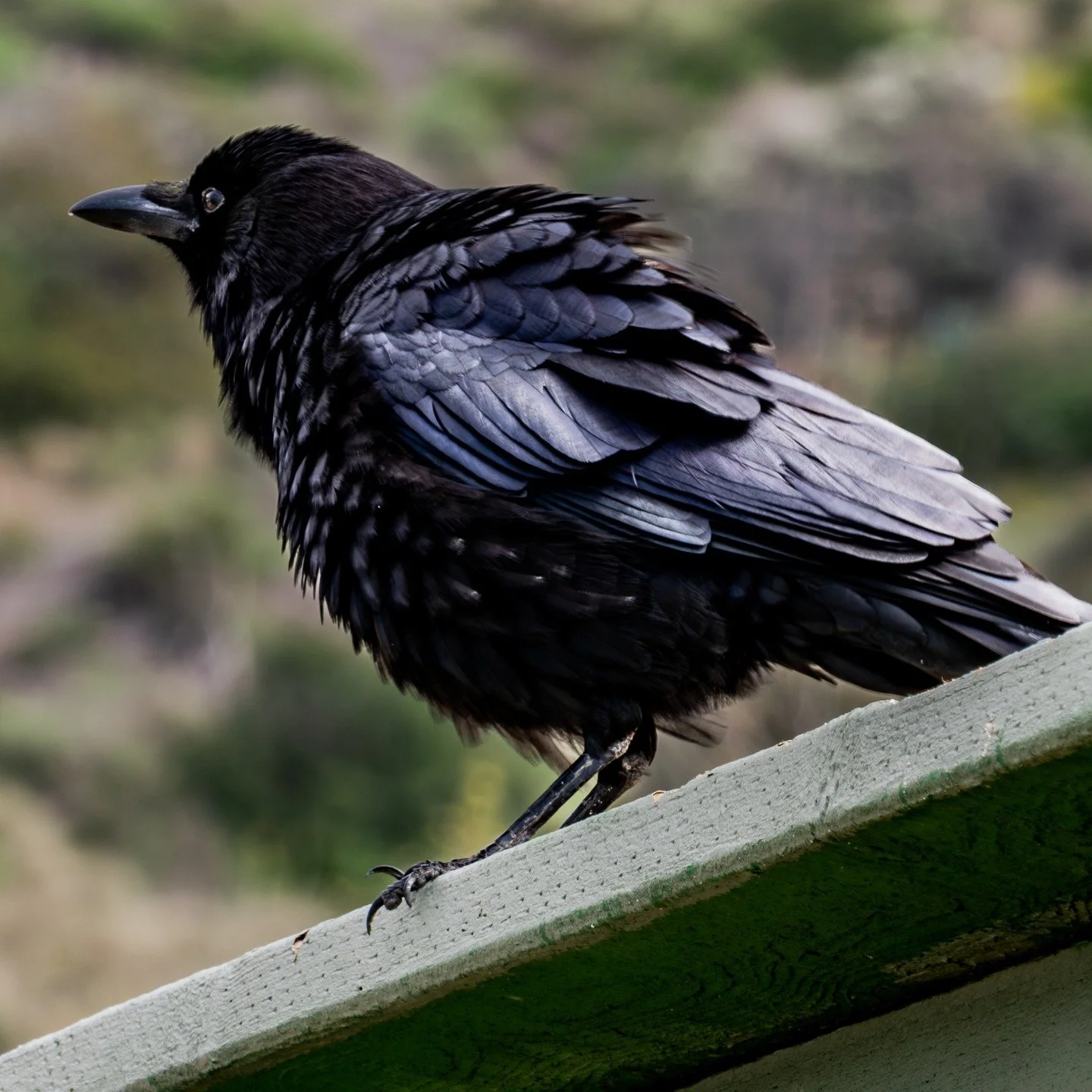 There is healing in knowing when to pause, observe, and protect your energy.
Stillness can be a form of strength.
#homedecor #homedesign #decorideas #homeinteriors #homeinterior #walldecor #decorhome