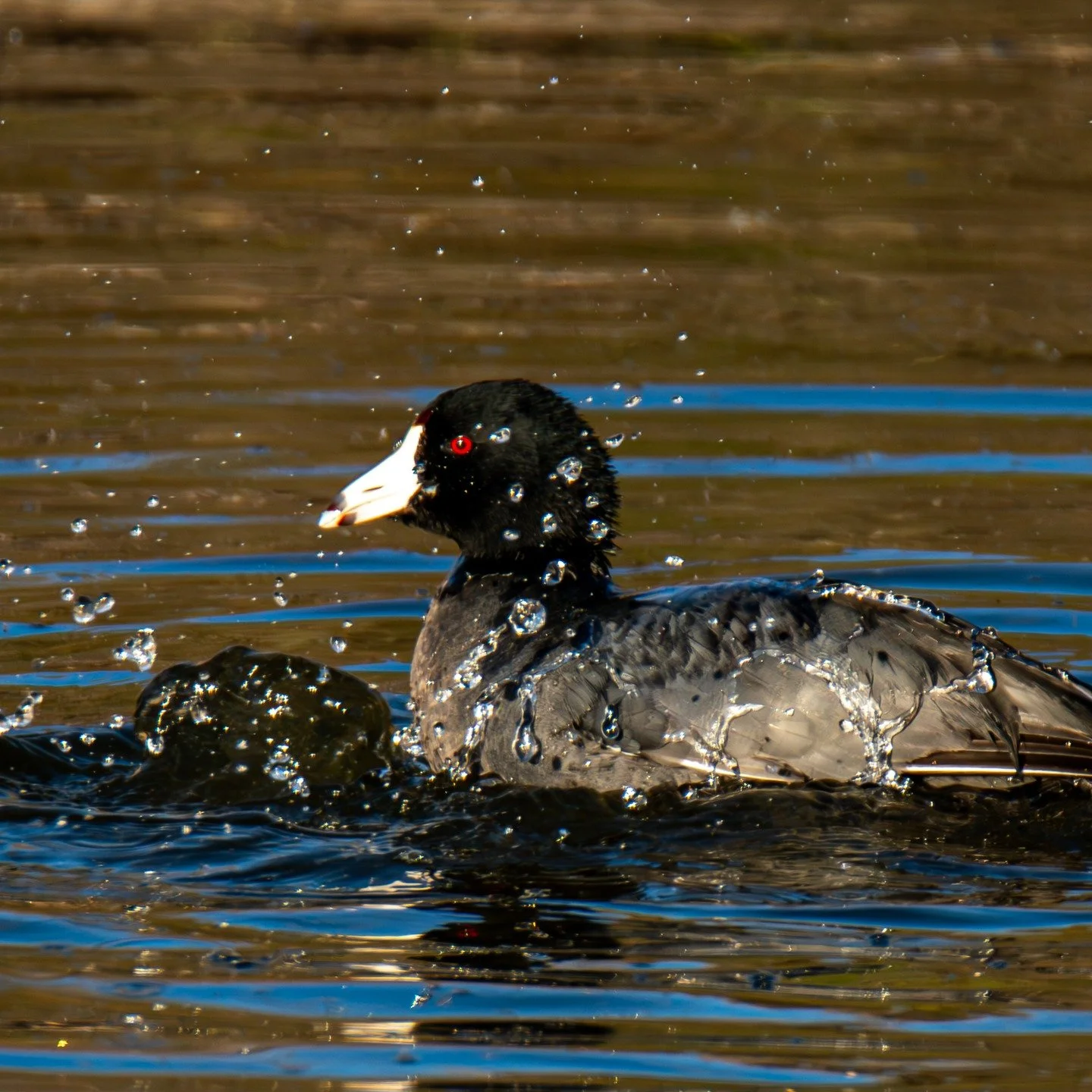 This is your reminder, that small acts of love to yourself can shift your entire emotional state.
#homedecorating #homeinterior #homedecor #homedesign #officedecor #therapydecor #wellnessdecor #studiodecor