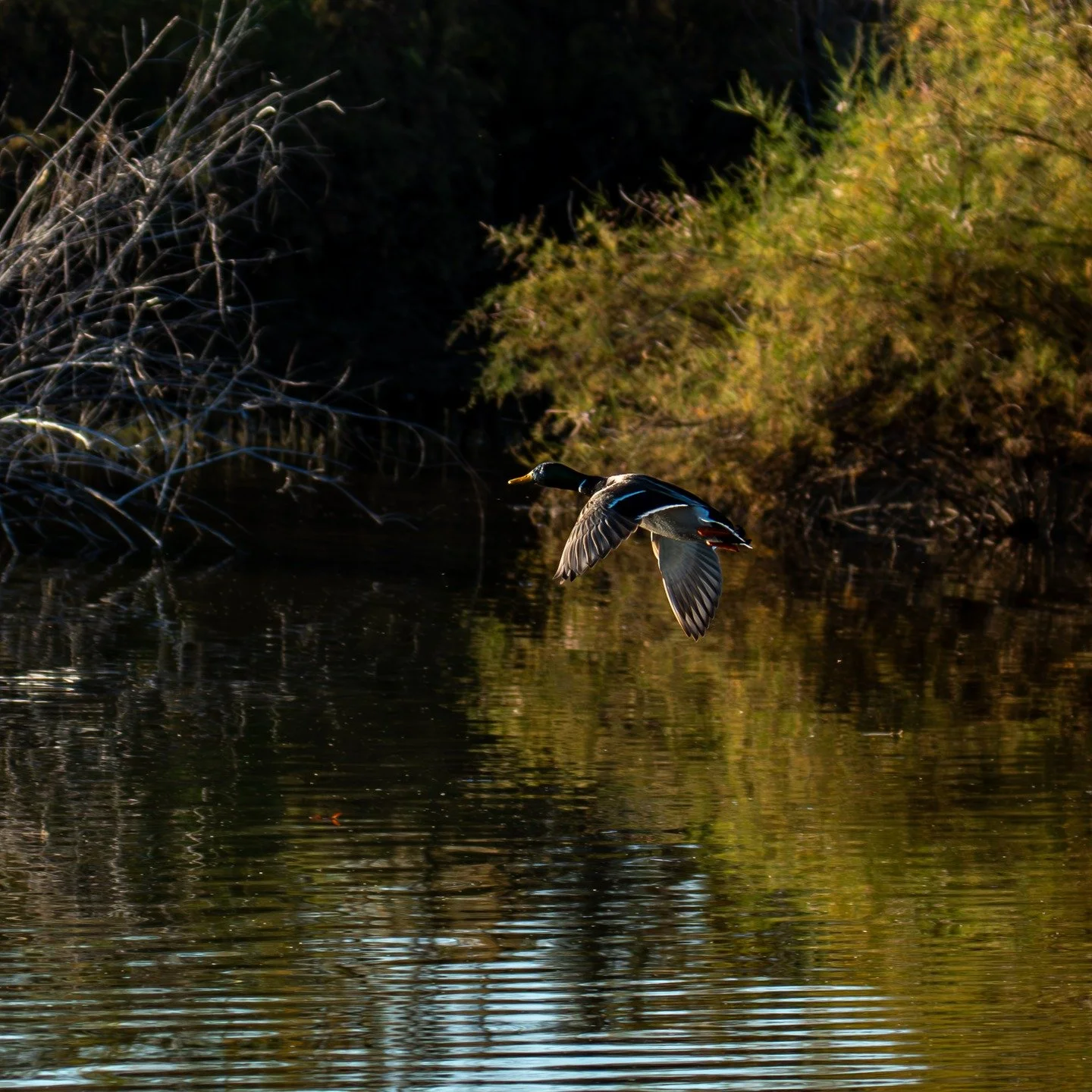 Sometimes healing is not about holding on.
It is about knowing when to move forward with calm and intention.

Leaving can be gentle.
Choosing yourself can be quiet.
#healthcaredecor #clinicdecor #therapydecor #homedecor #walld&eacute;cor #walldecor #