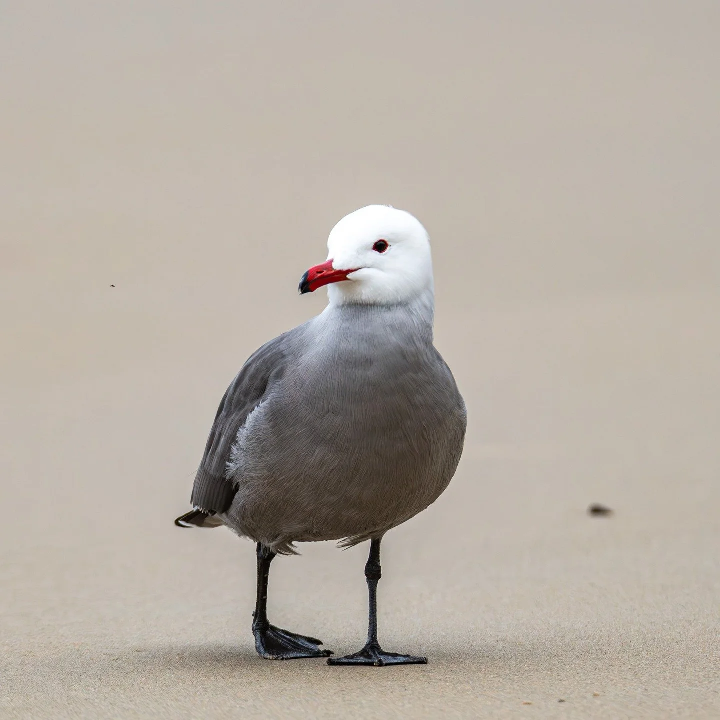 This is a soft reminder that you don&rsquo;t have to rush your healing.
You don&rsquo;t have to have it all figured out.
You&rsquo;re allowed to move at your own pace.

I&rsquo;m a school psychologist and the creator of The Color of Calm Method, a na
