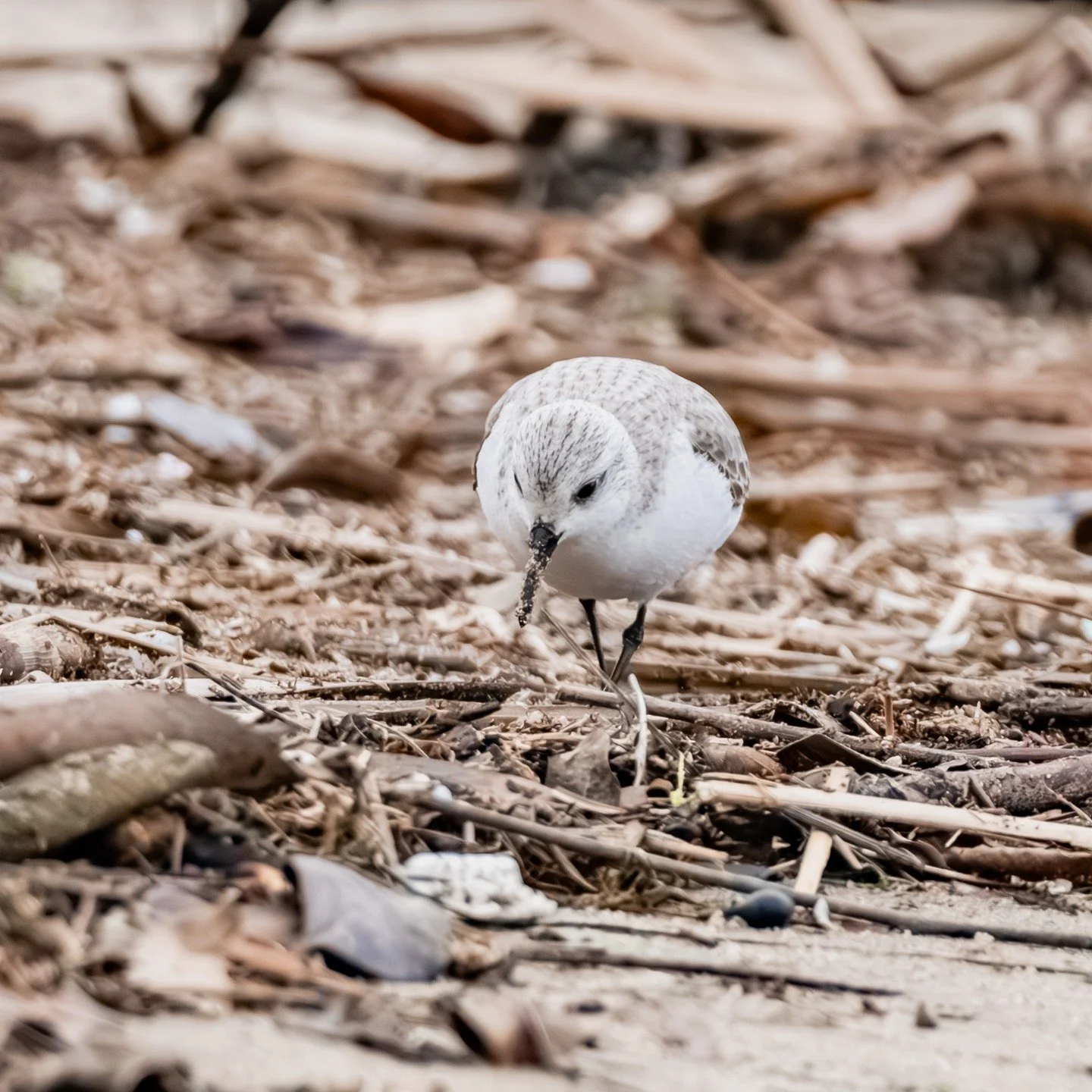 Most spaces are built for productivity.
Not for softness.
Not for rest.
Not for the nervous system.

I&rsquo;m a school psychologist, author, and the creator of The Color of Calm Method a nature and color based approach to grounding and emotional reg