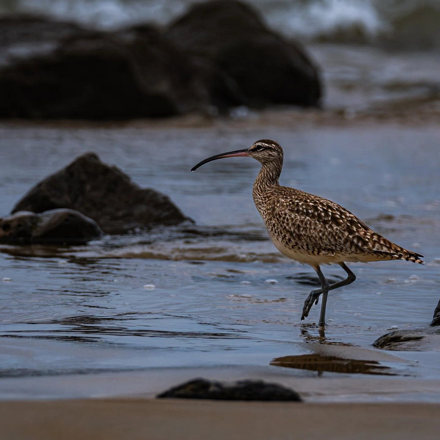 You don't have to live in survival mode.
#eternaledgephotography #fypppppppppppppppppppppppppppppppppppppppppppppppppppppppppppppppppppppp #foryou #naturedecor #walldecor