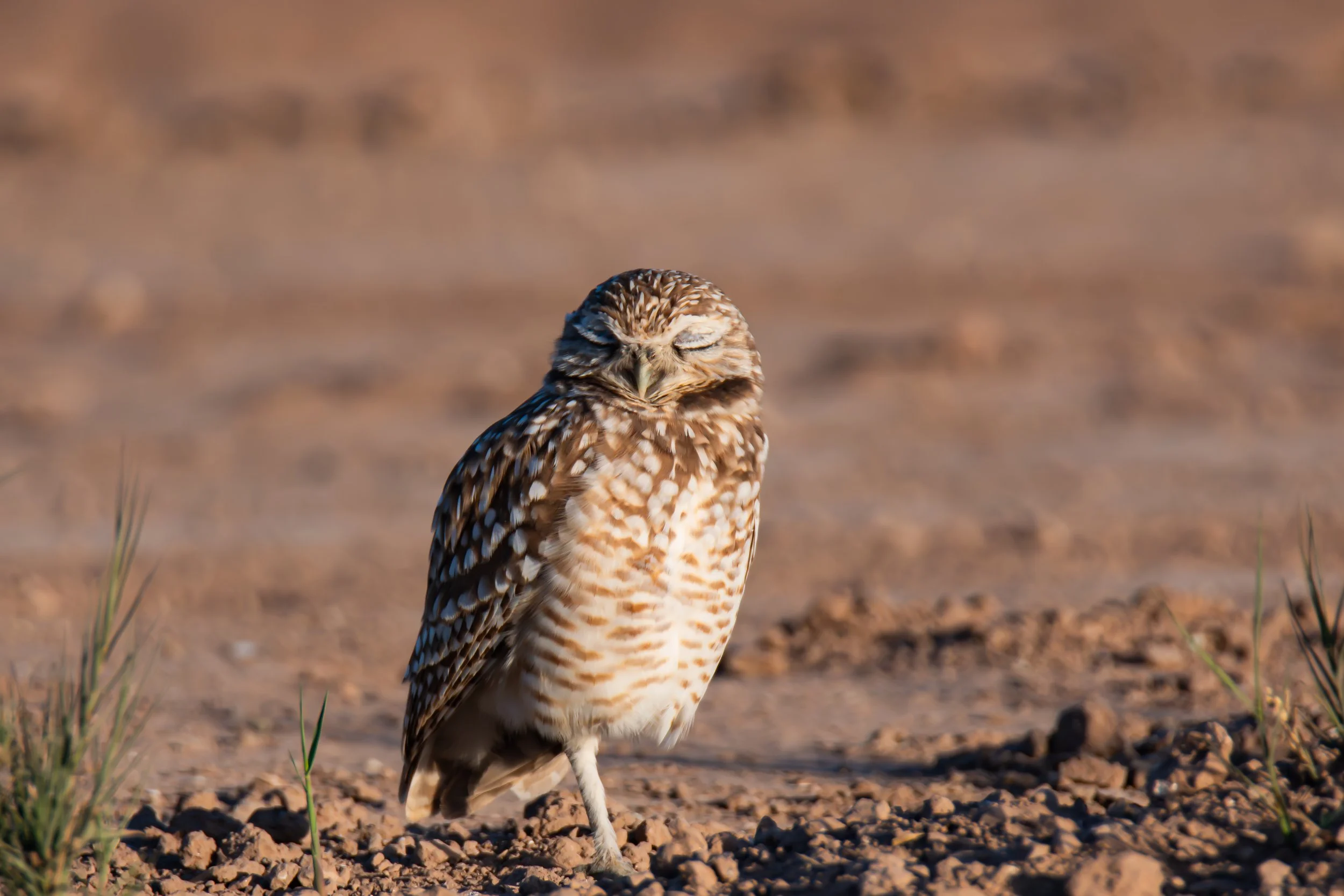 The Healing in Small Movements