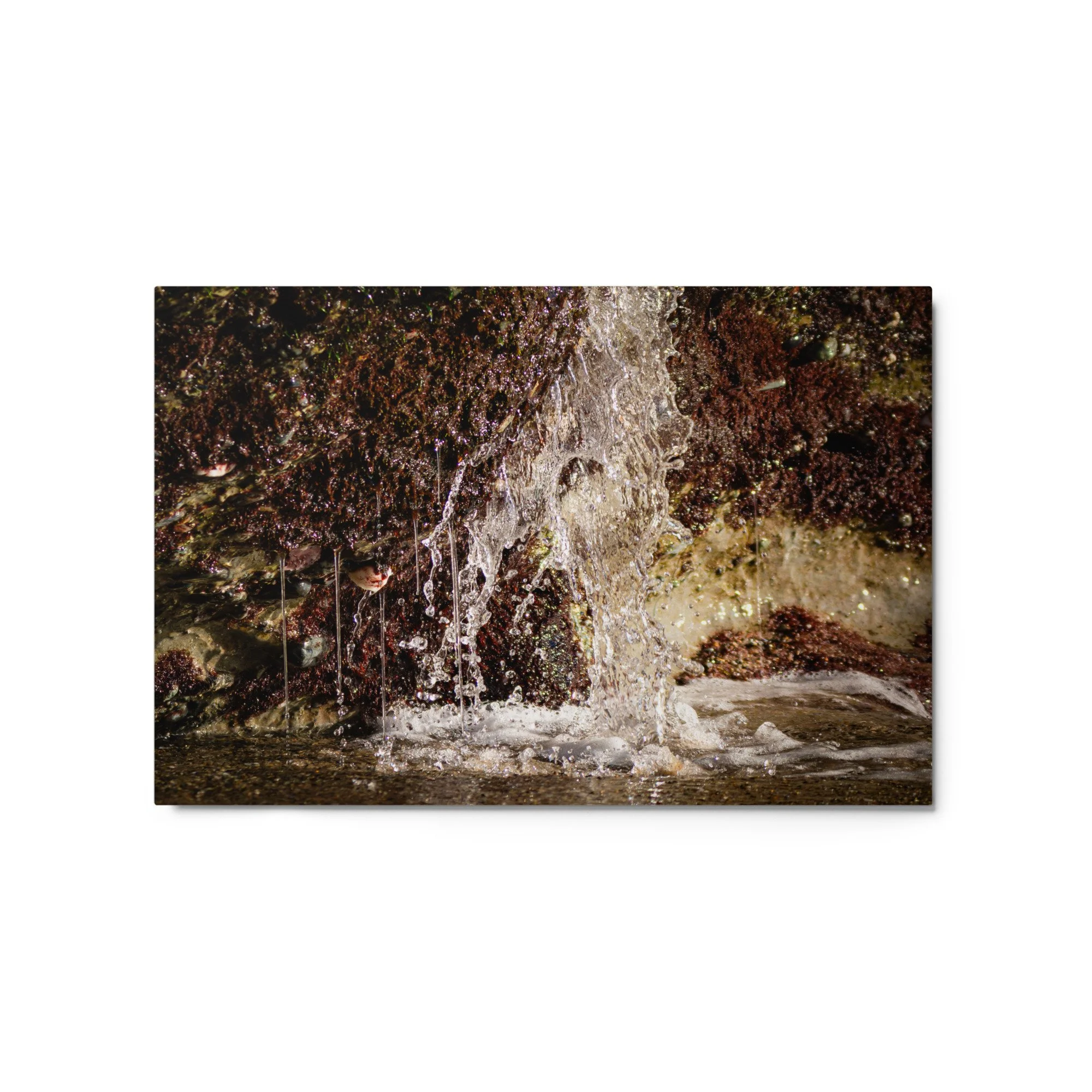 glossy-metal-print-(in)-white-20x30-front-69d7621433e4c.jpg