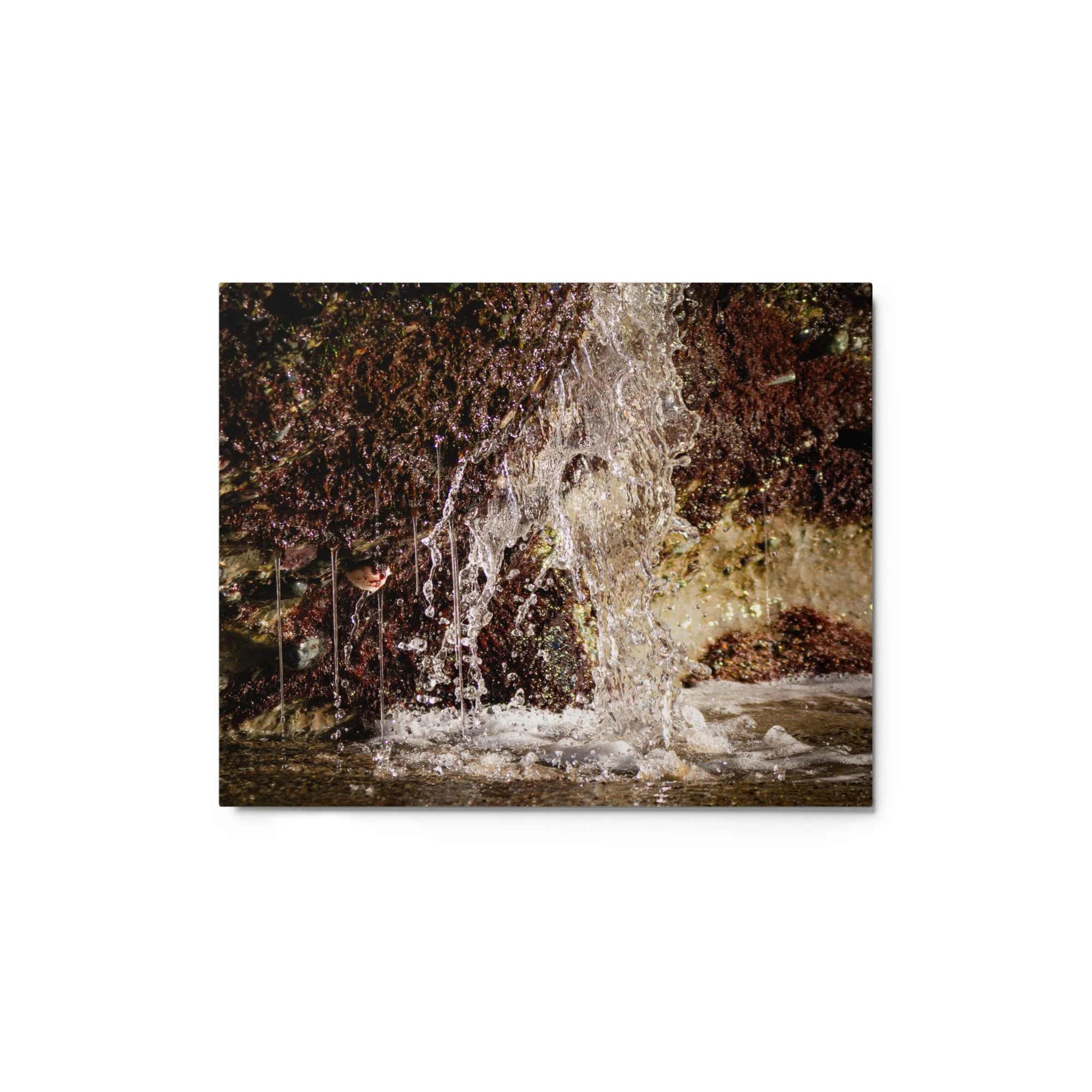 glossy-metal-print-(in)-white-8x10-front-69d76214356fd.jpg