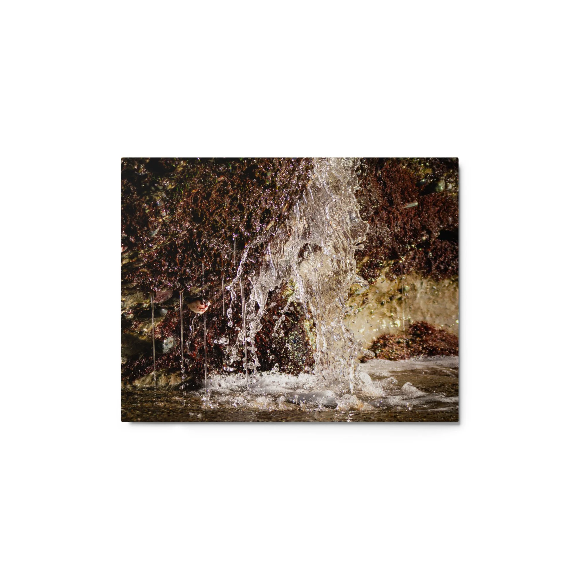 glossy-metal-print-(in)-white-11x14-front-69d76214357f1.jpg