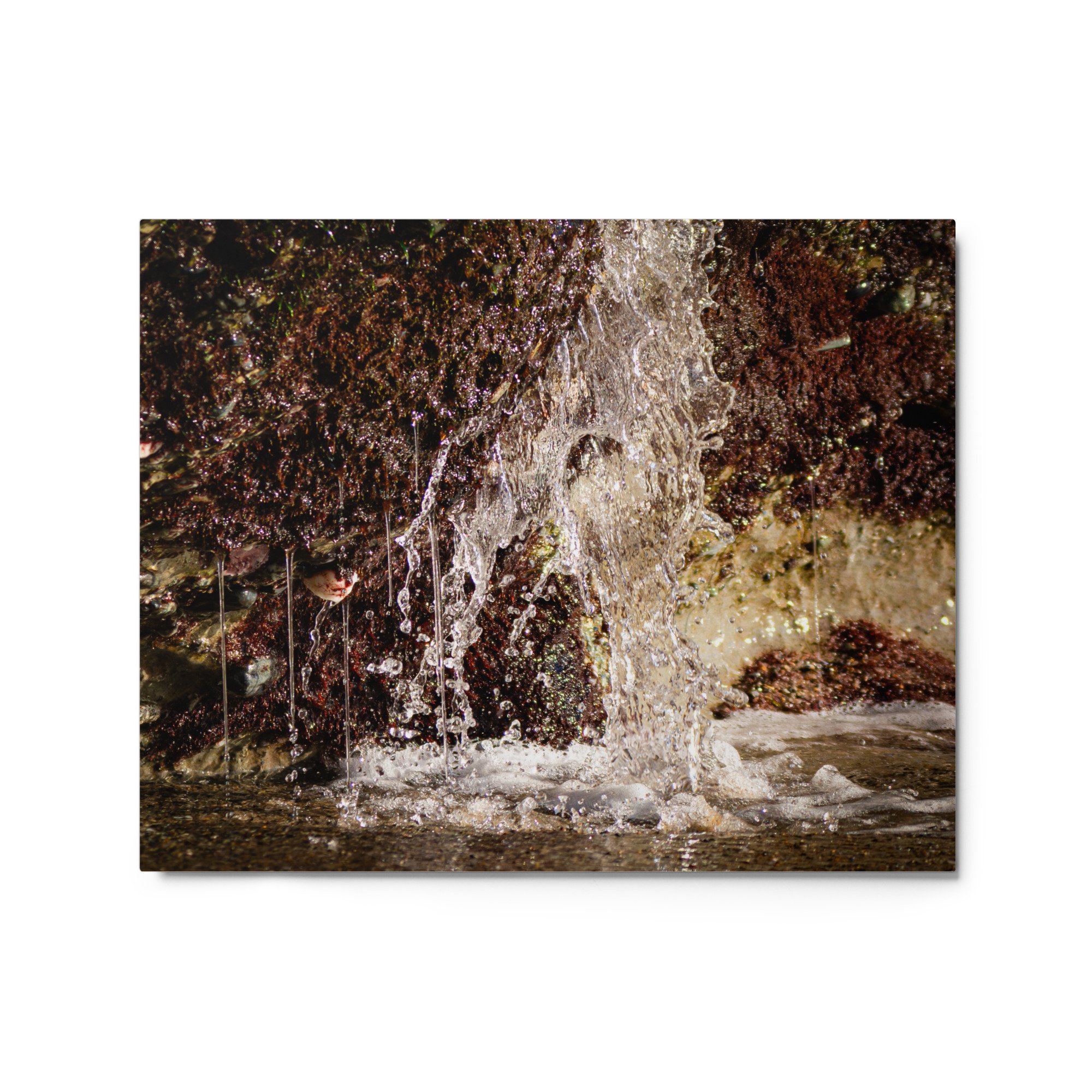 glossy-metal-print-(in)-white-16x20-front-69d76214358a0.jpg