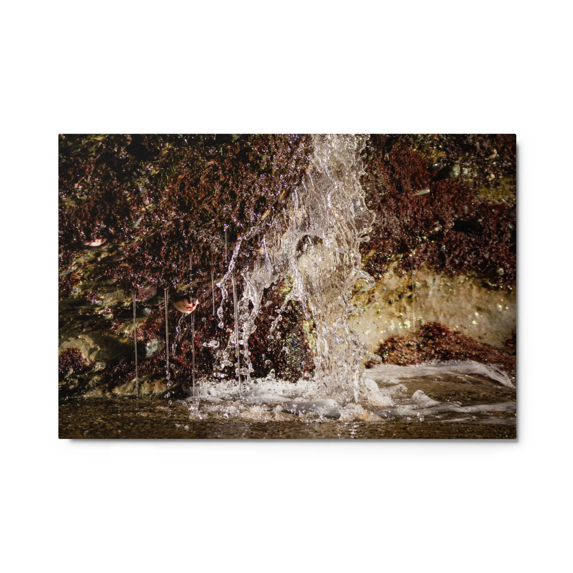 glossy-metal-print-(in)-white-24x36-front-69d7621435979.jpg