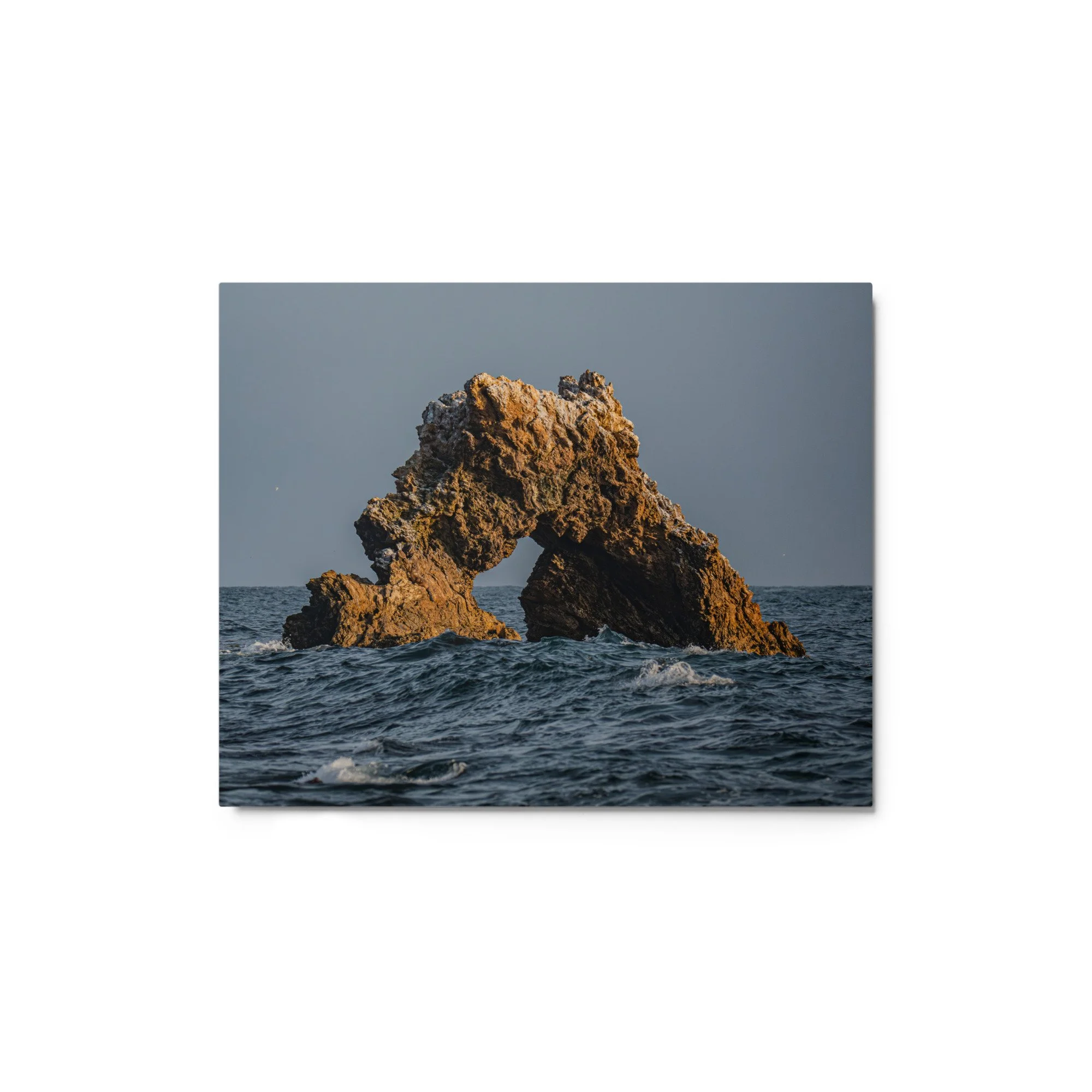 glossy-metal-print-(in)-white-8x10-front-69faa40b82137.jpg