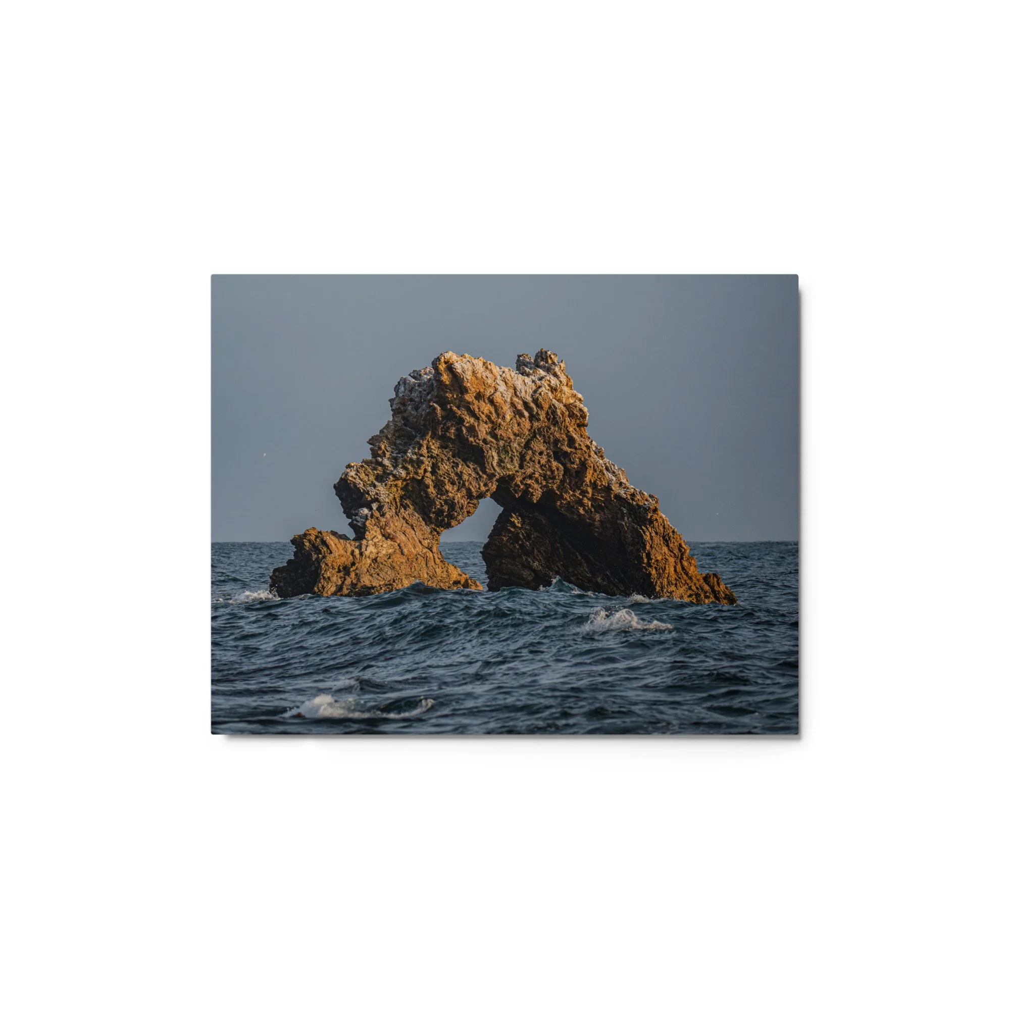 glossy-metal-print-(in)-white-11x14-front-69faa40b821c8.jpg