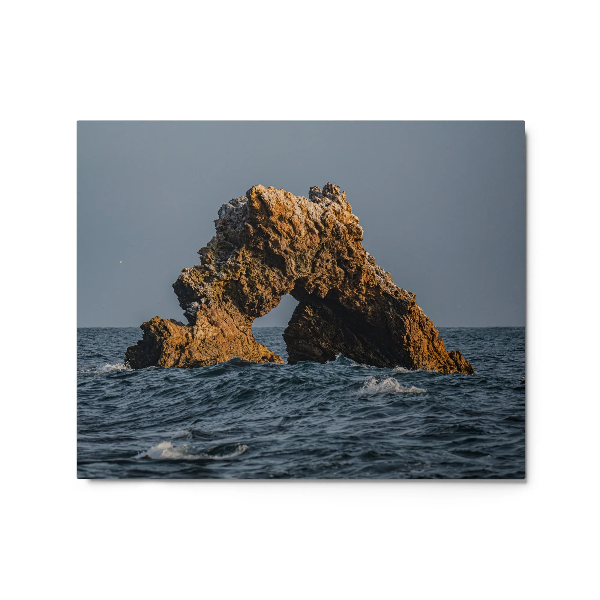 glossy-metal-print-(in)-white-16x20-front-69faa40b822a3.jpg