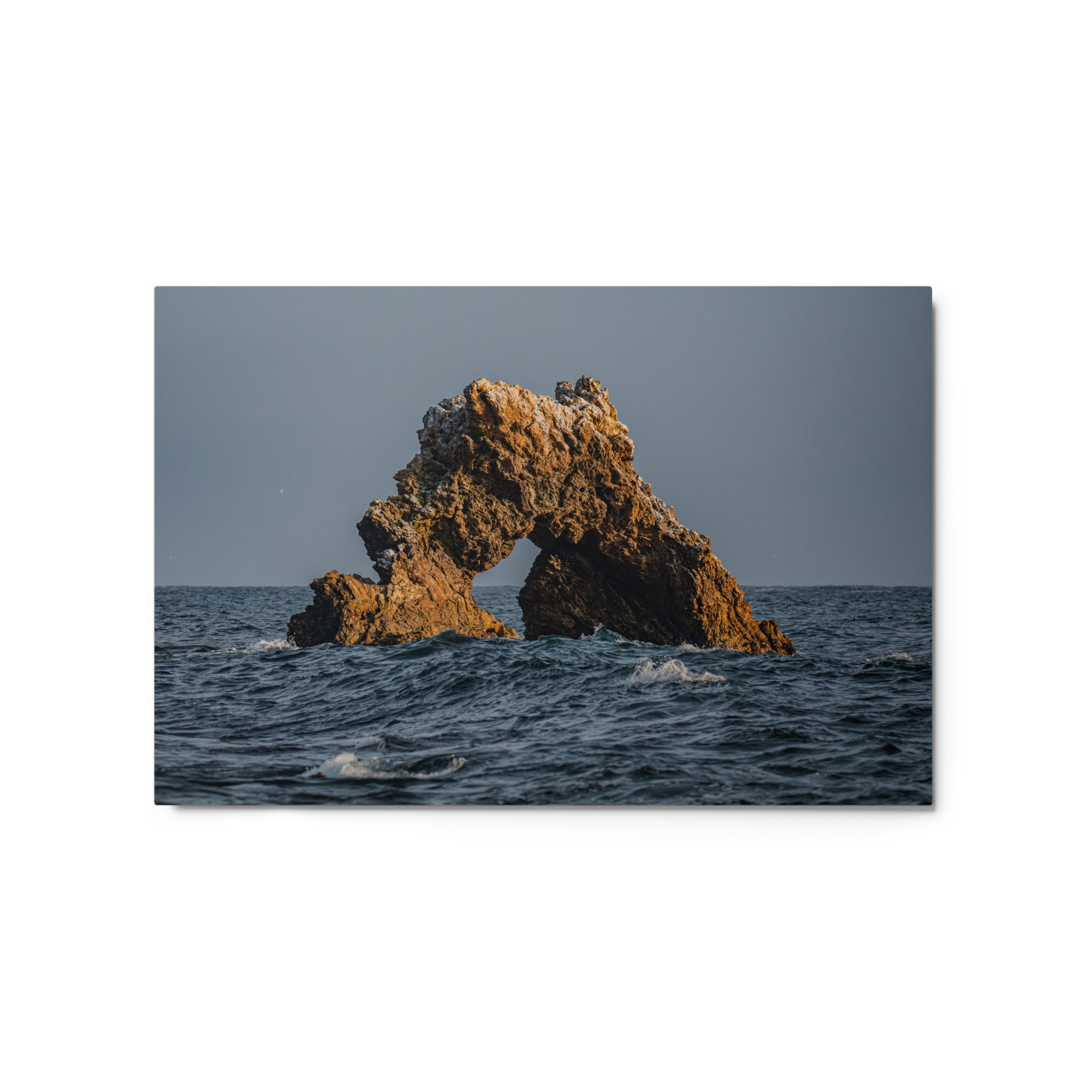 glossy-metal-print-(in)-white-20x30-front-69faa40b8230e.jpg