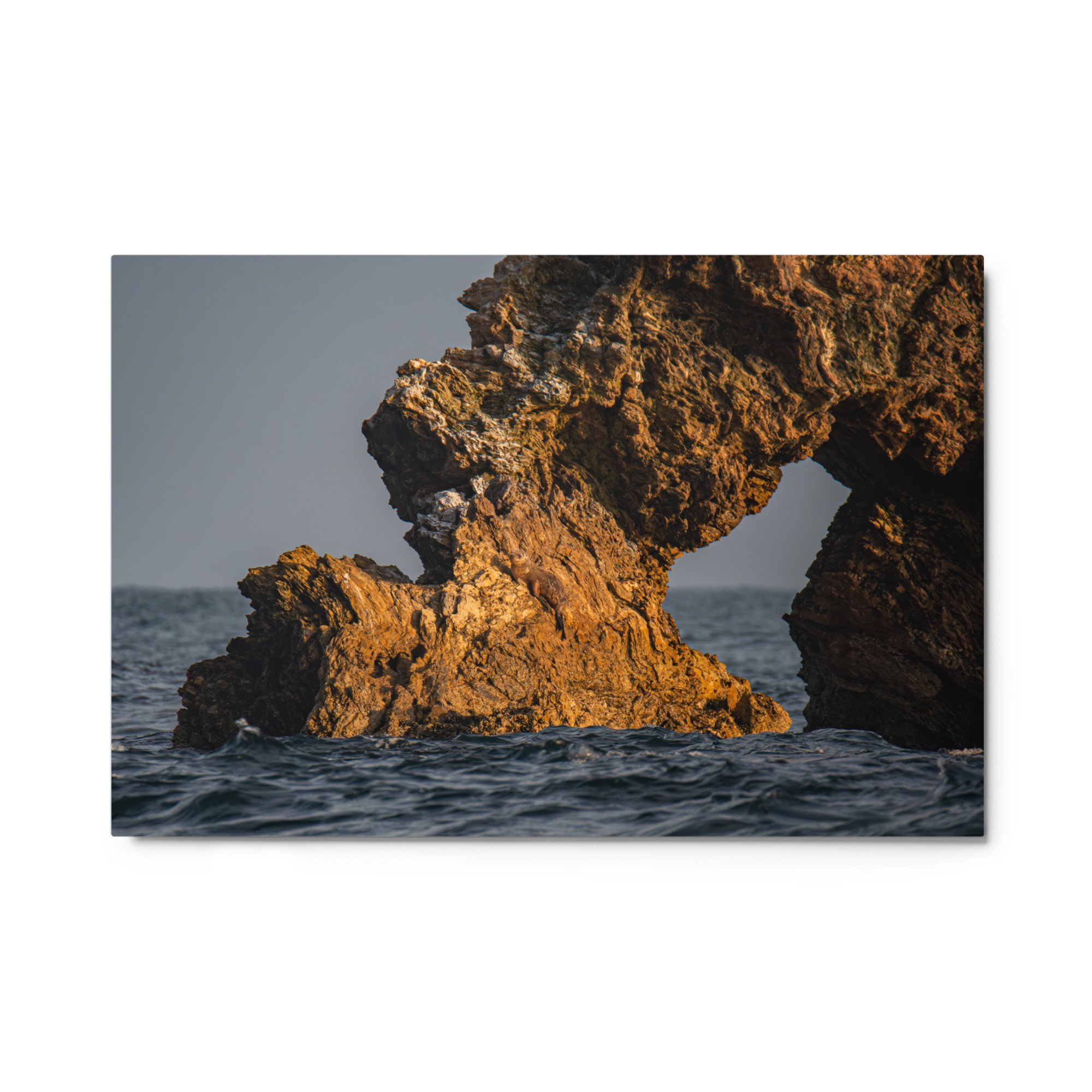 glossy-metal-print-(in)-white-24x36-front-69faa4e6aa089.jpg