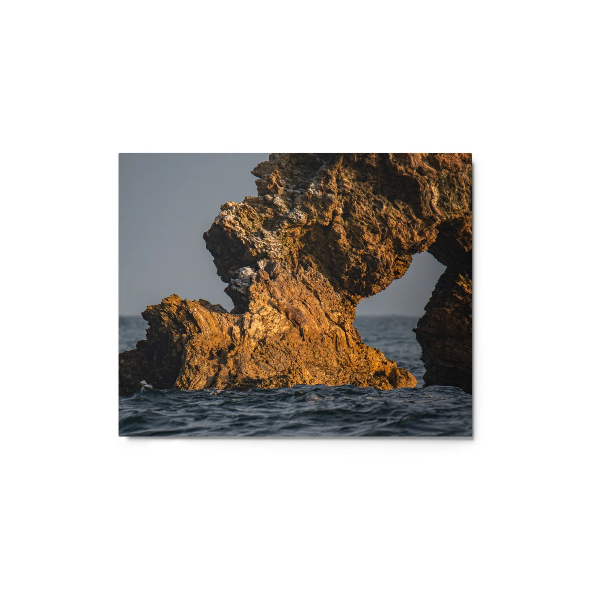 glossy-metal-print-(in)-white-8x10-front-69faa4e6ab1e6.jpg