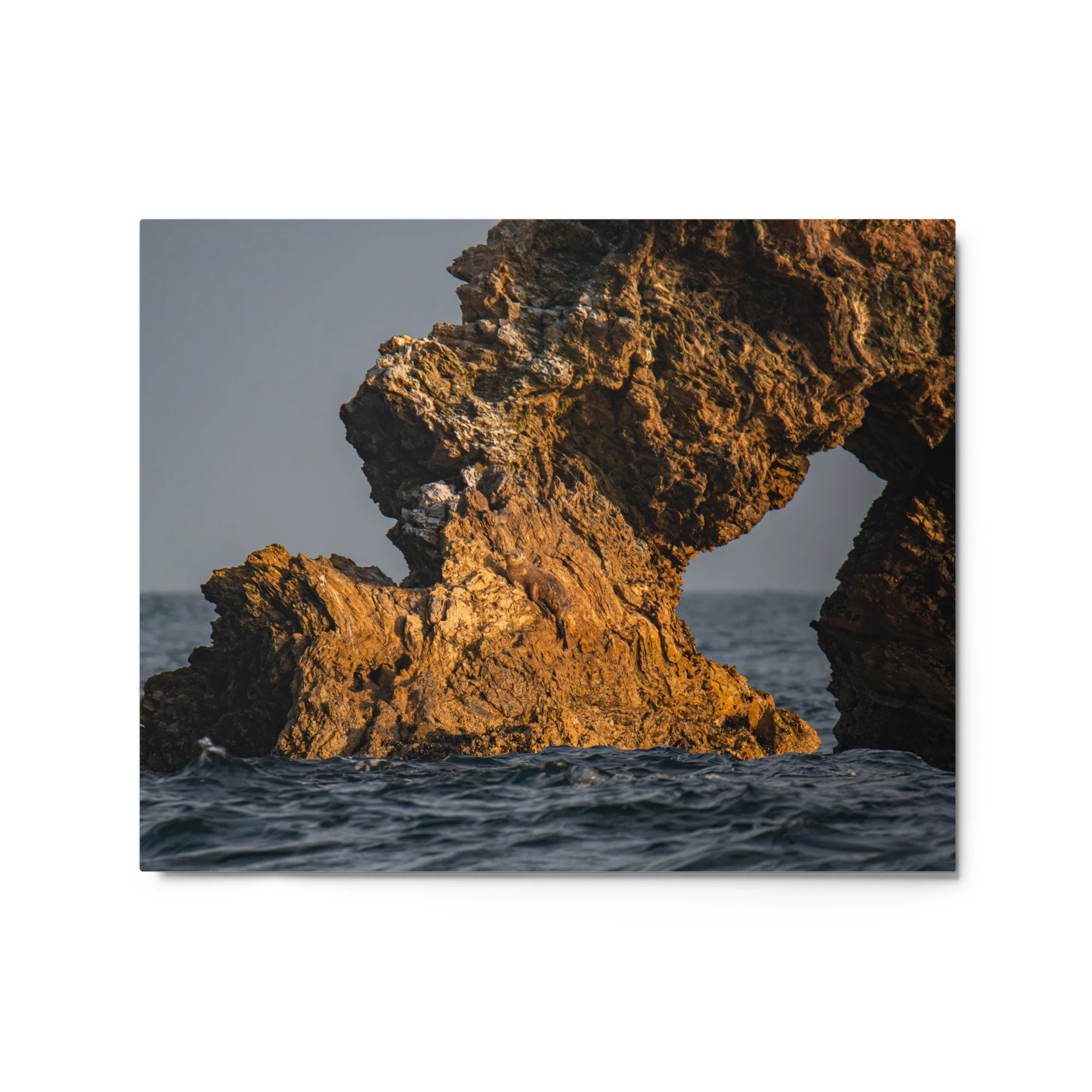 glossy-metal-print-(in)-white-16x20-front-69faa4e6ab386.jpg