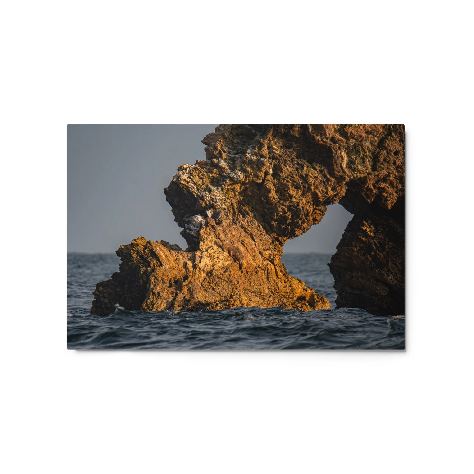 glossy-metal-print-(in)-white-20x30-front-69faa4e6ab3f2.jpg