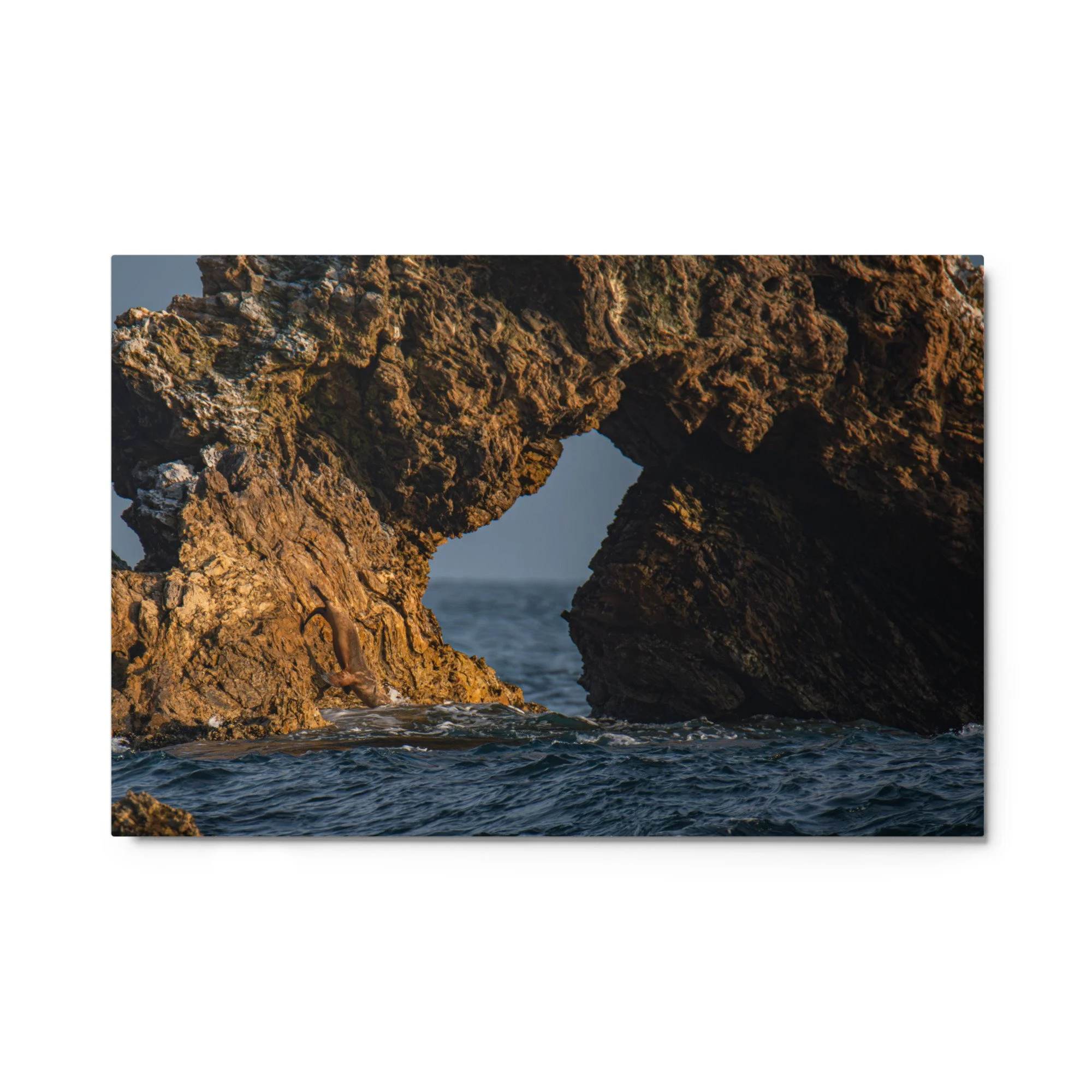 glossy-metal-print-(in)-white-24x36-front-69faa72f472a2.jpg