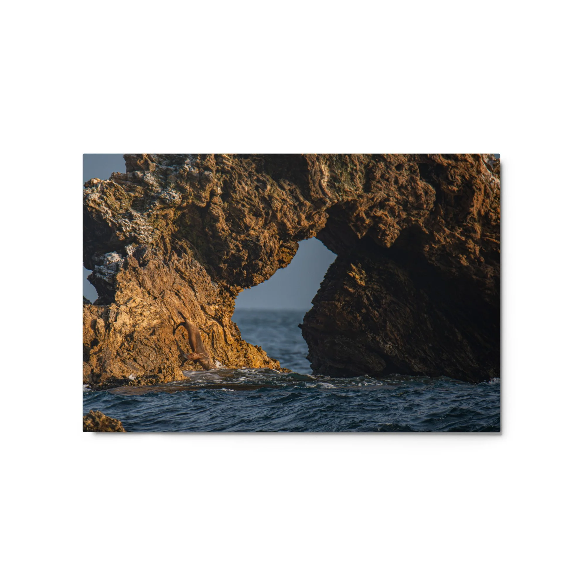 glossy-metal-print-(in)-white-20x30-front-69faa72f47a65.jpg