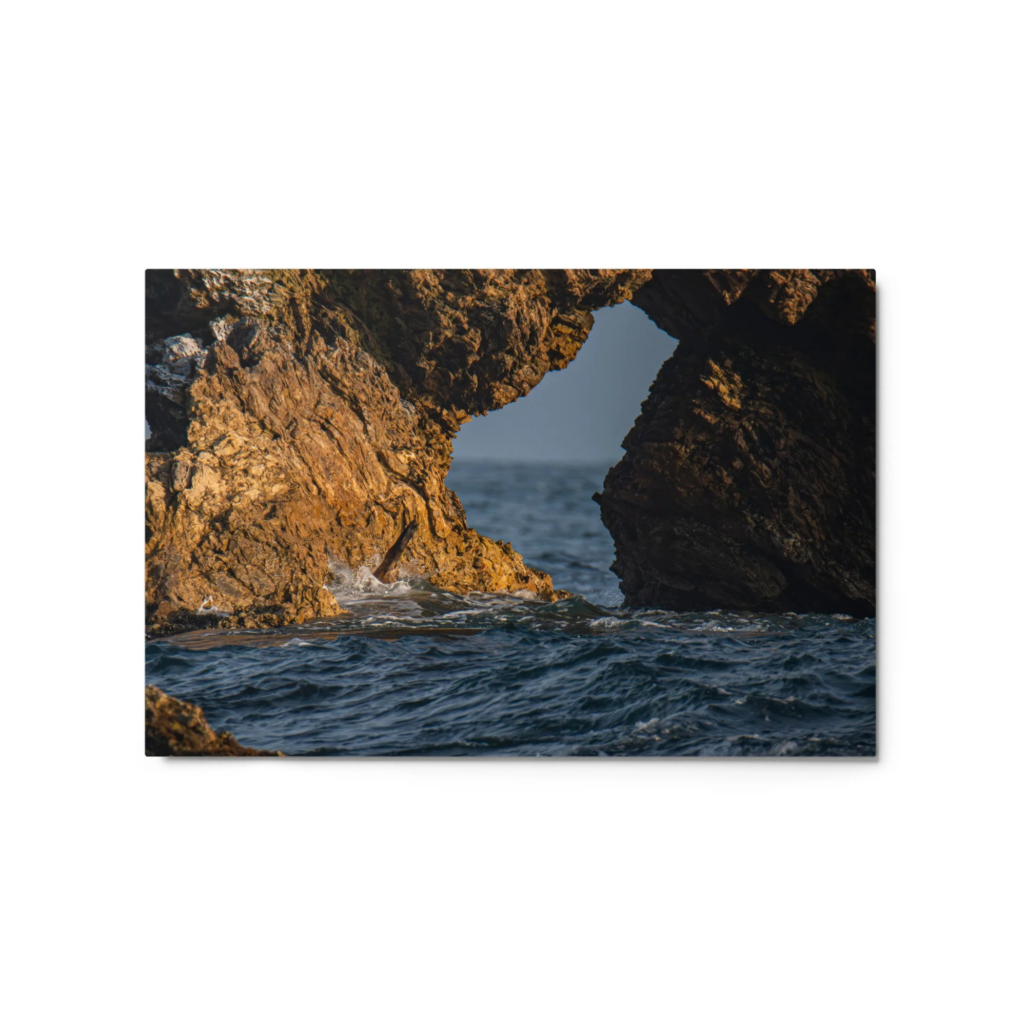 glossy-metal-print-(in)-white-20x30-front-69faa7ae84824.jpg