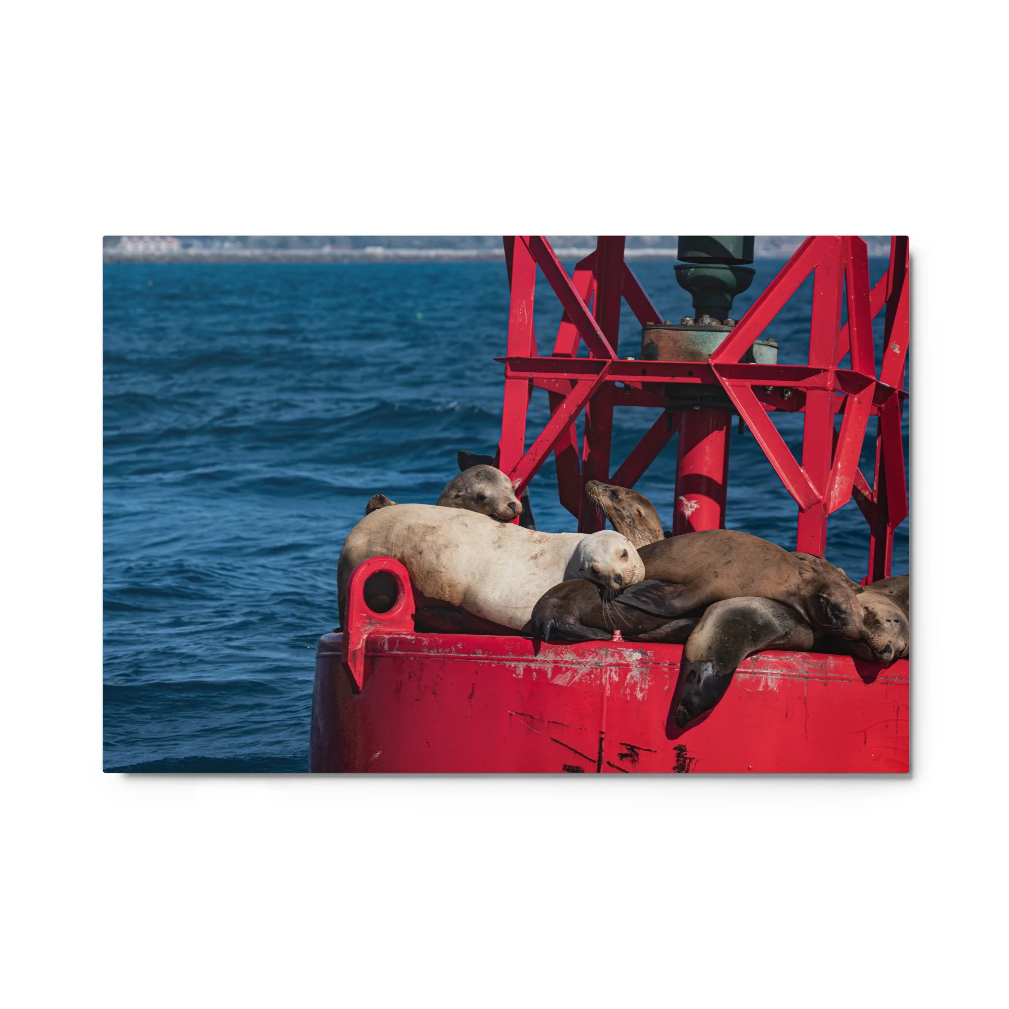 glossy-metal-print-(in)-white-24x36-front-6a042904085a4.jpg