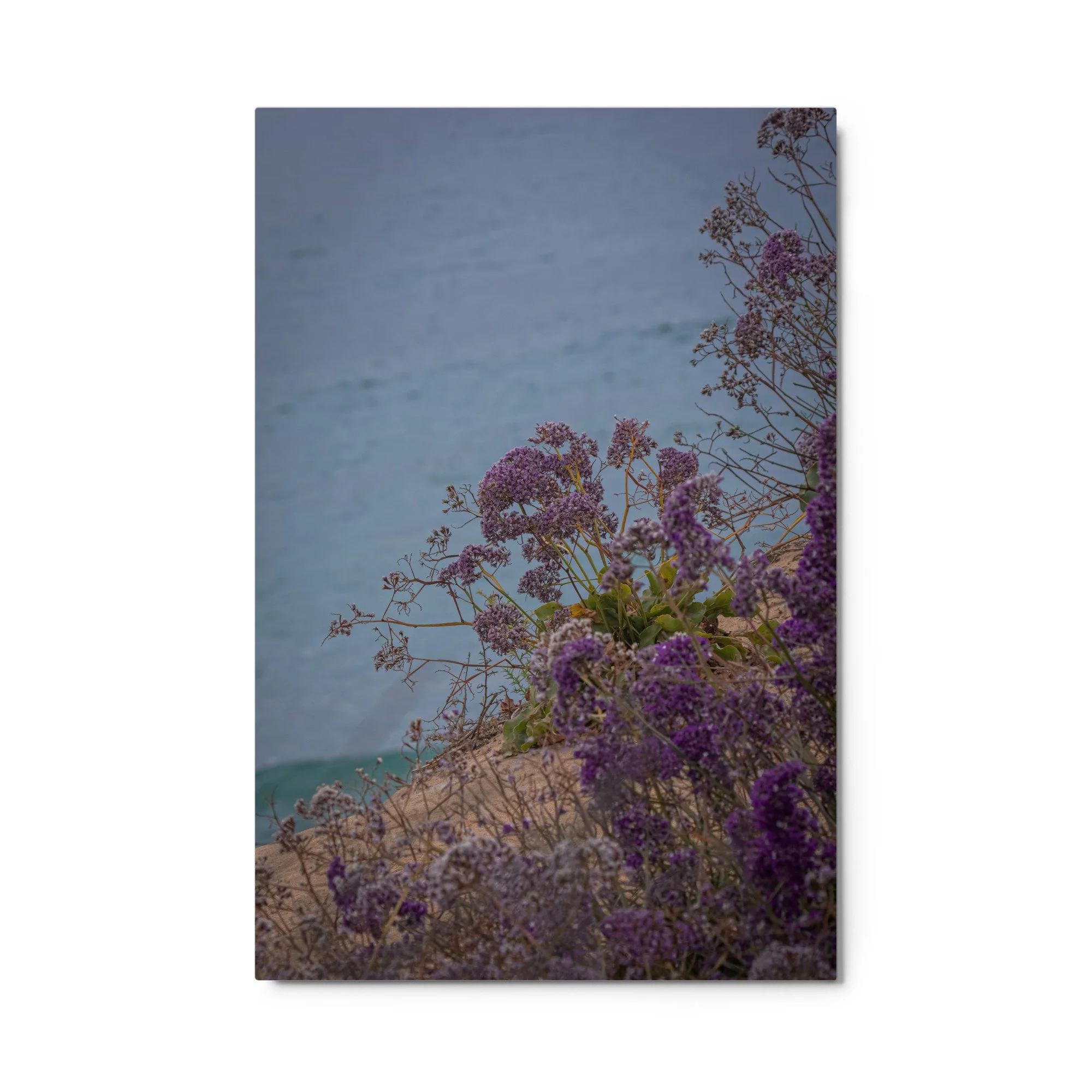 glossy-metal-print-(in)-white-24x36-front-6a09f680b205f.jpg