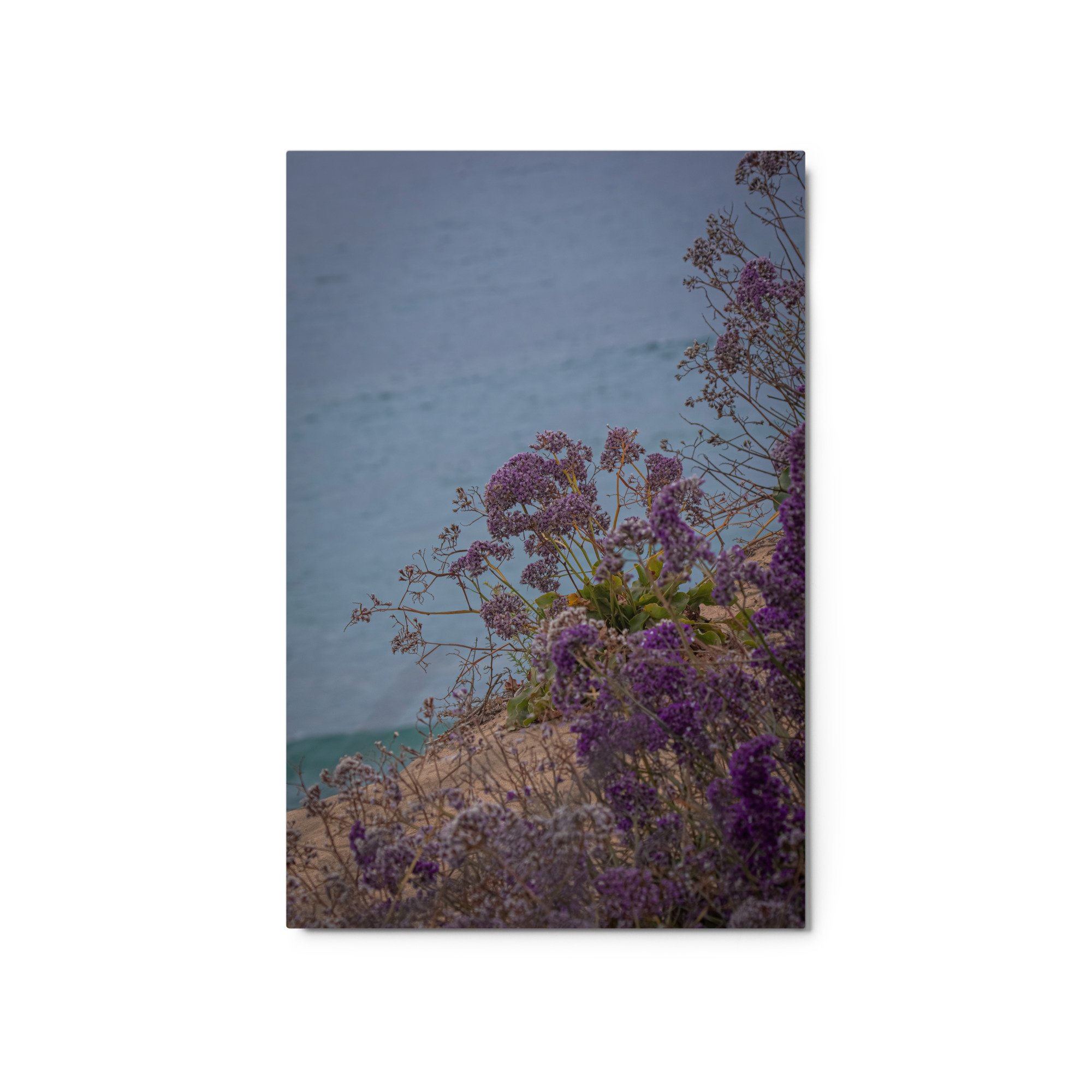 glossy-metal-print-(in)-white-20x30-front-6a09f680b2cf6.jpg