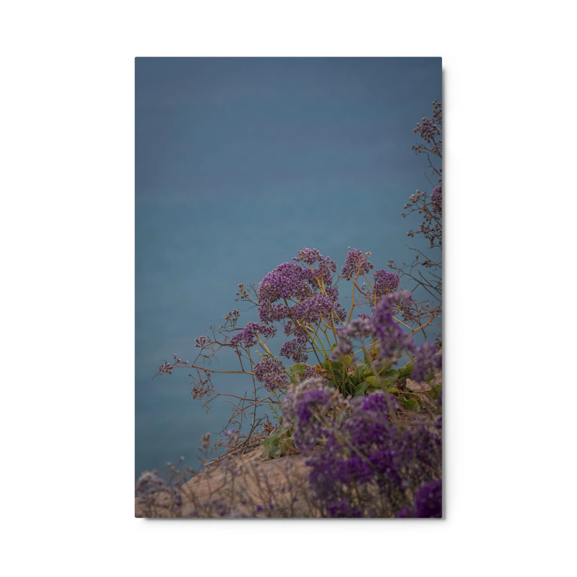 glossy-metal-print-(in)-white-24x36-front-6a0a4eff60db6.jpg