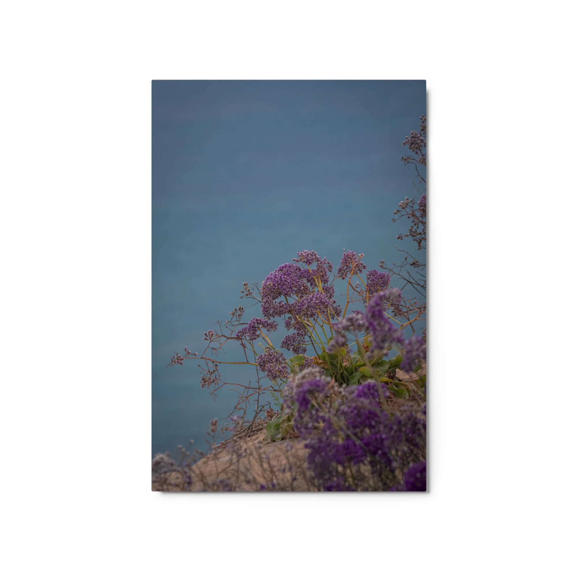 glossy-metal-print-(in)-white-20x30-front-6a0a4eff626fc.jpg
