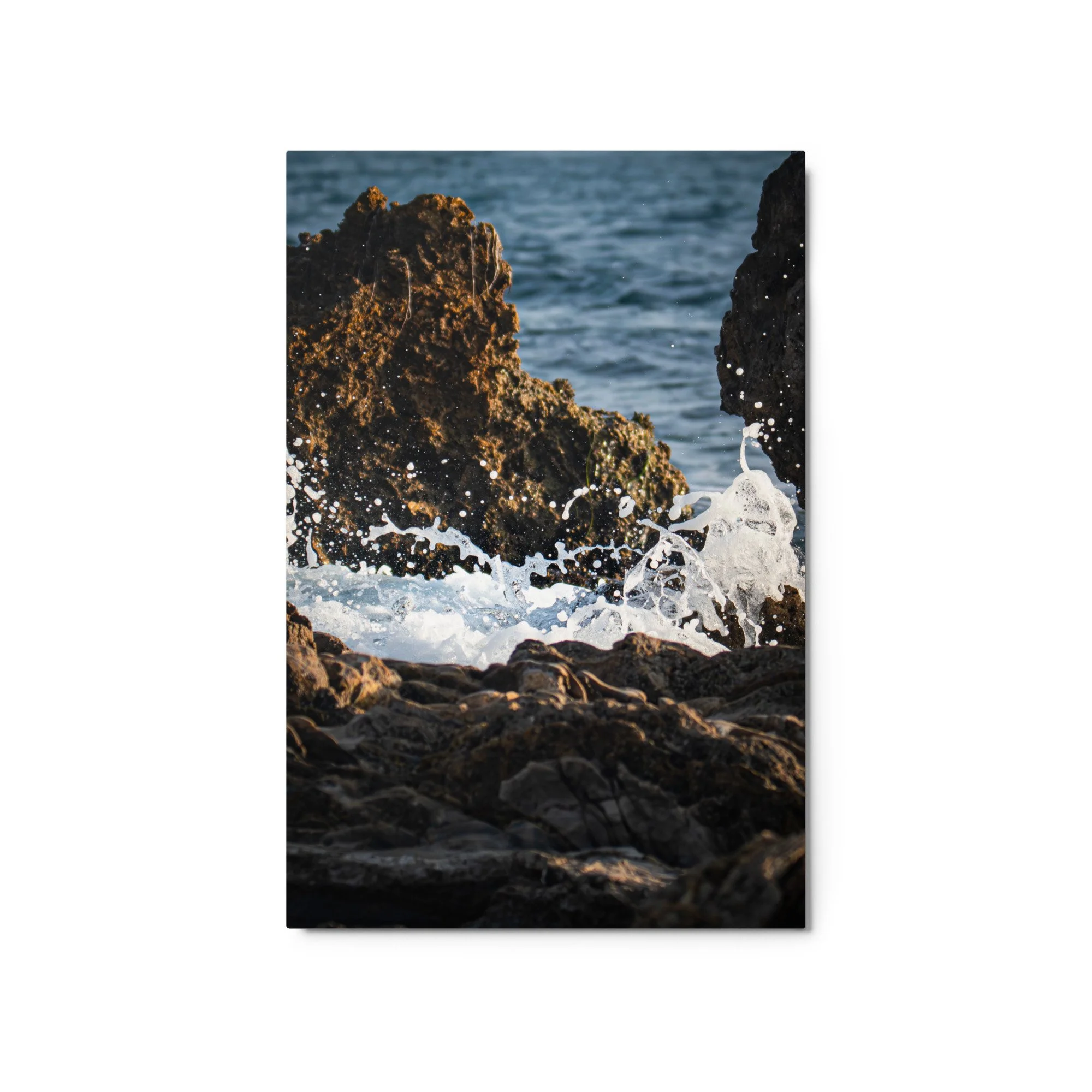 glossy-metal-print-(in)-white-20x30-front-6a17fcfb9c9ce.jpg