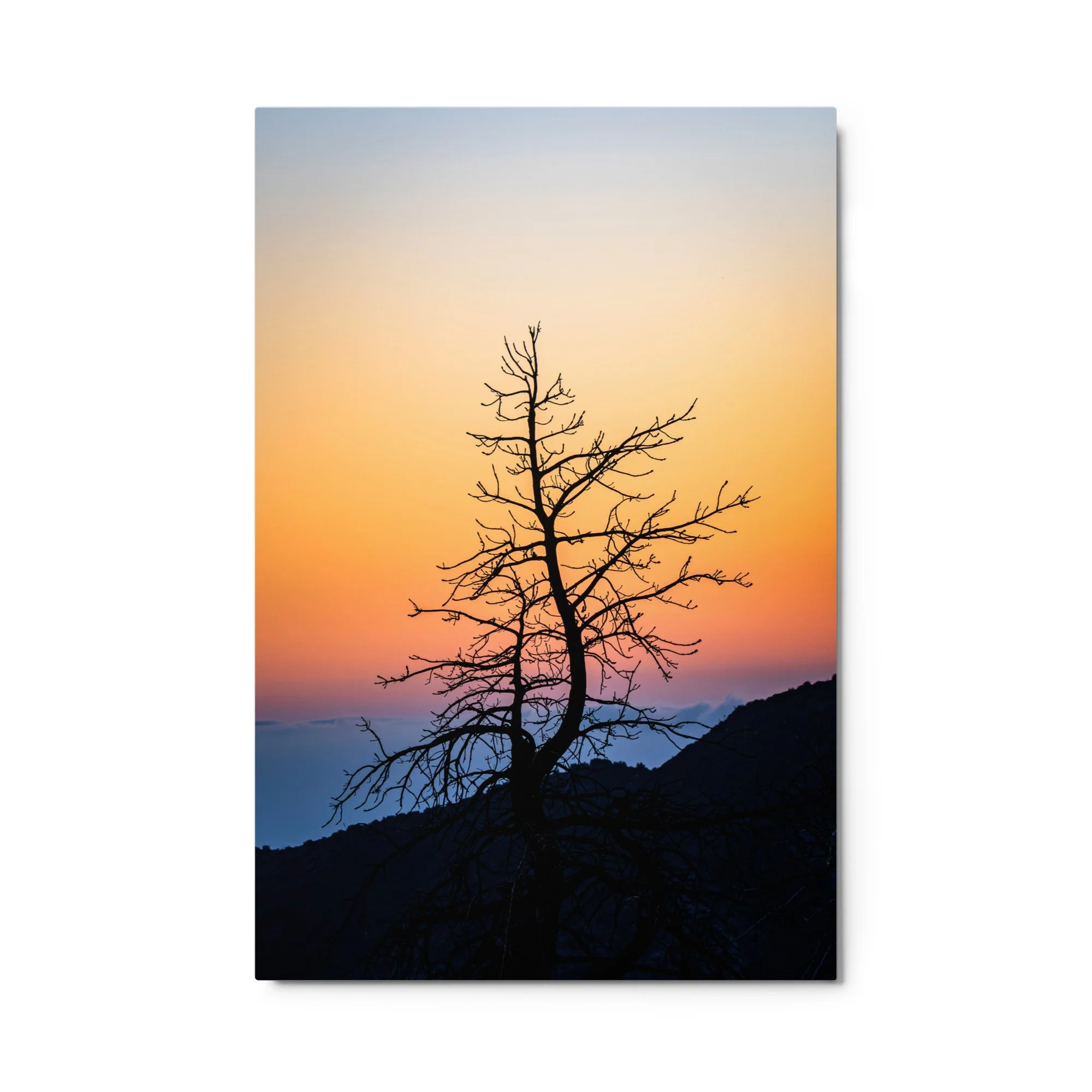 glossy-metal-print-(in)-white-24x36-front-6a4338df808e7.jpg