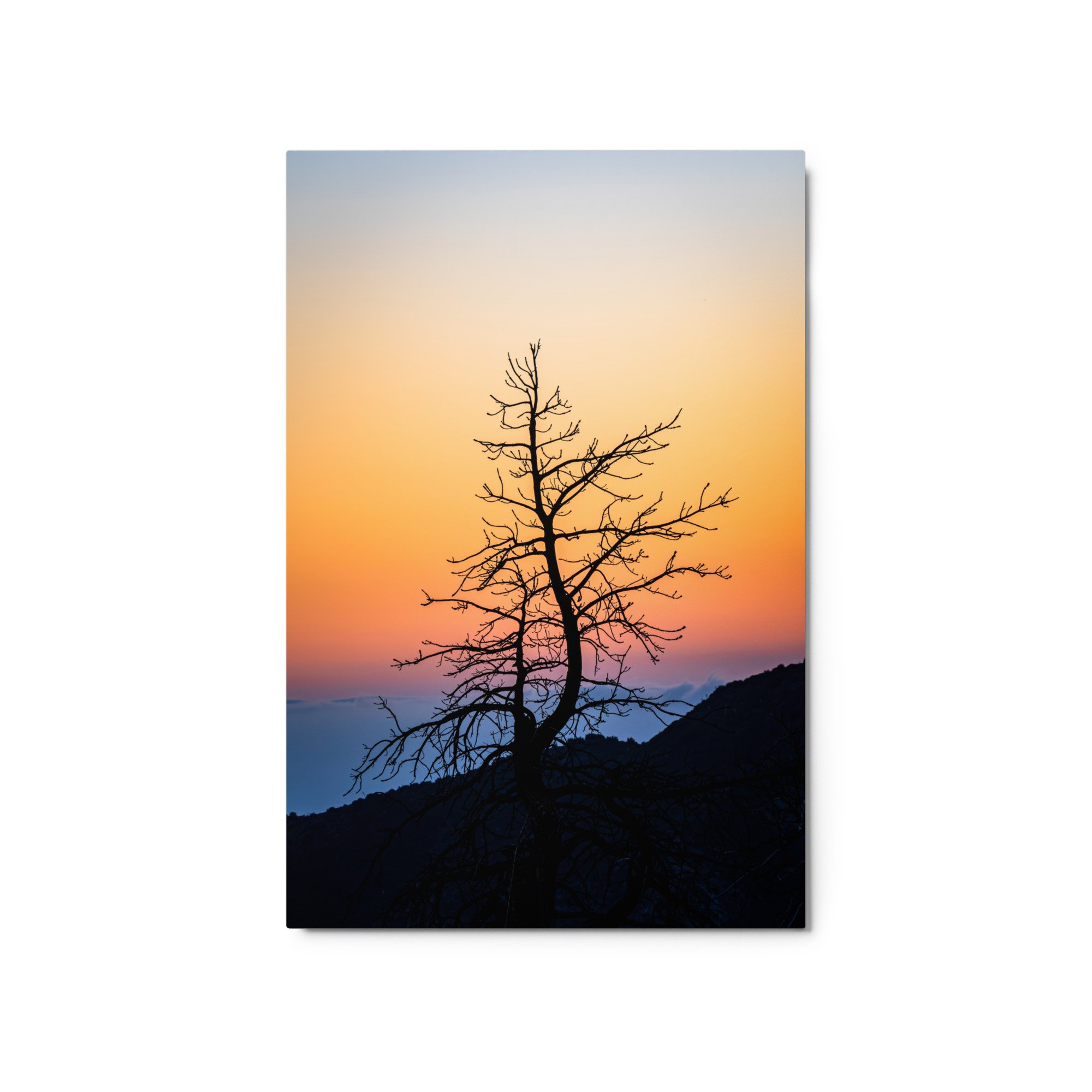 glossy-metal-print-(in)-white-20x30-front-6a4338df812e5.jpg
