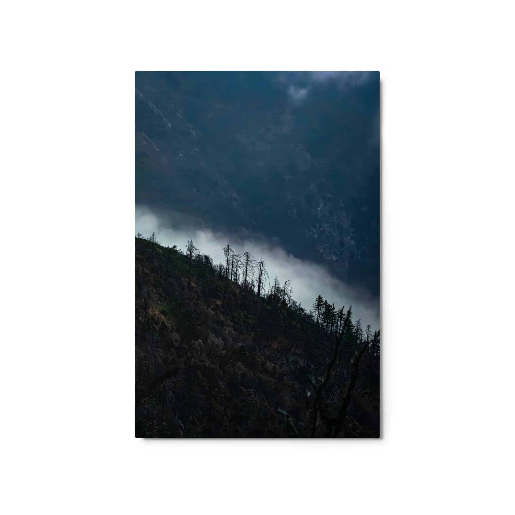 glossy-metal-print-(in)-white-20x30-front-6a4b95de53e12.jpg