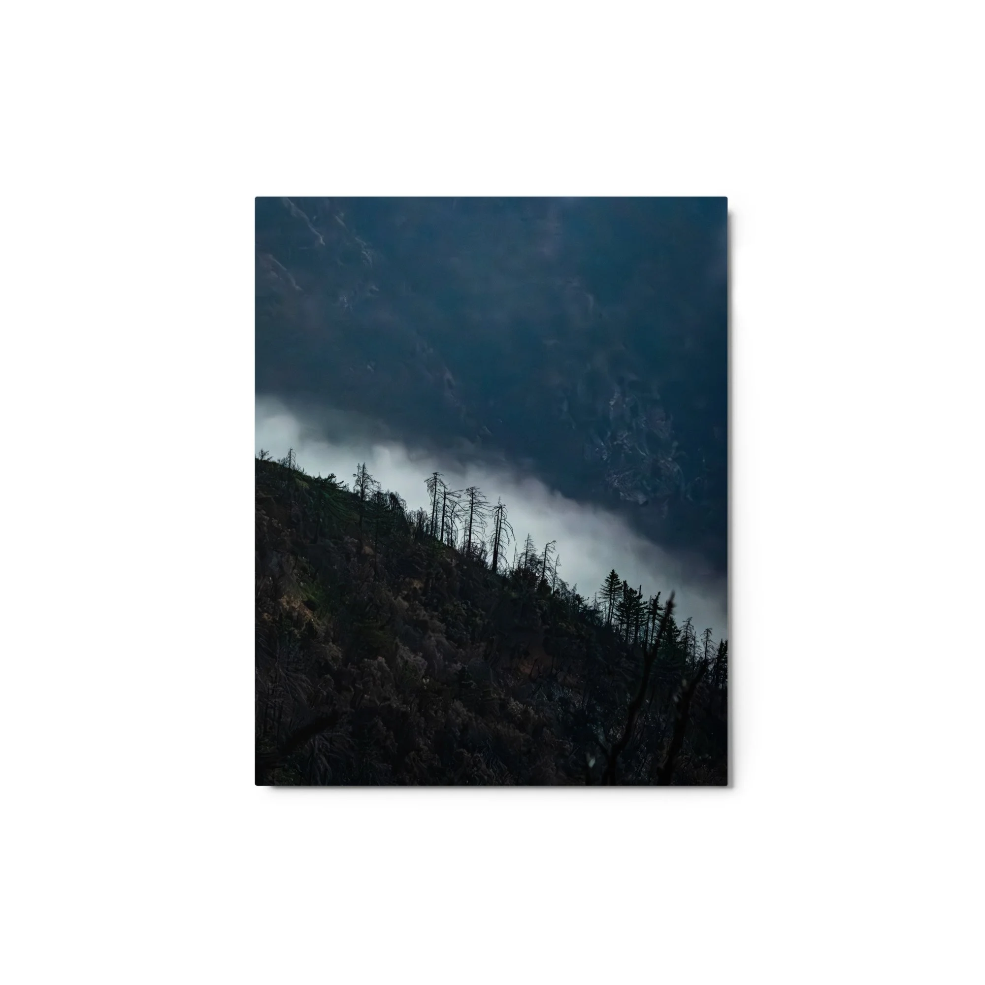 glossy-metal-print-(in)-white-8x10-front-6a4b95de5475b.jpg
