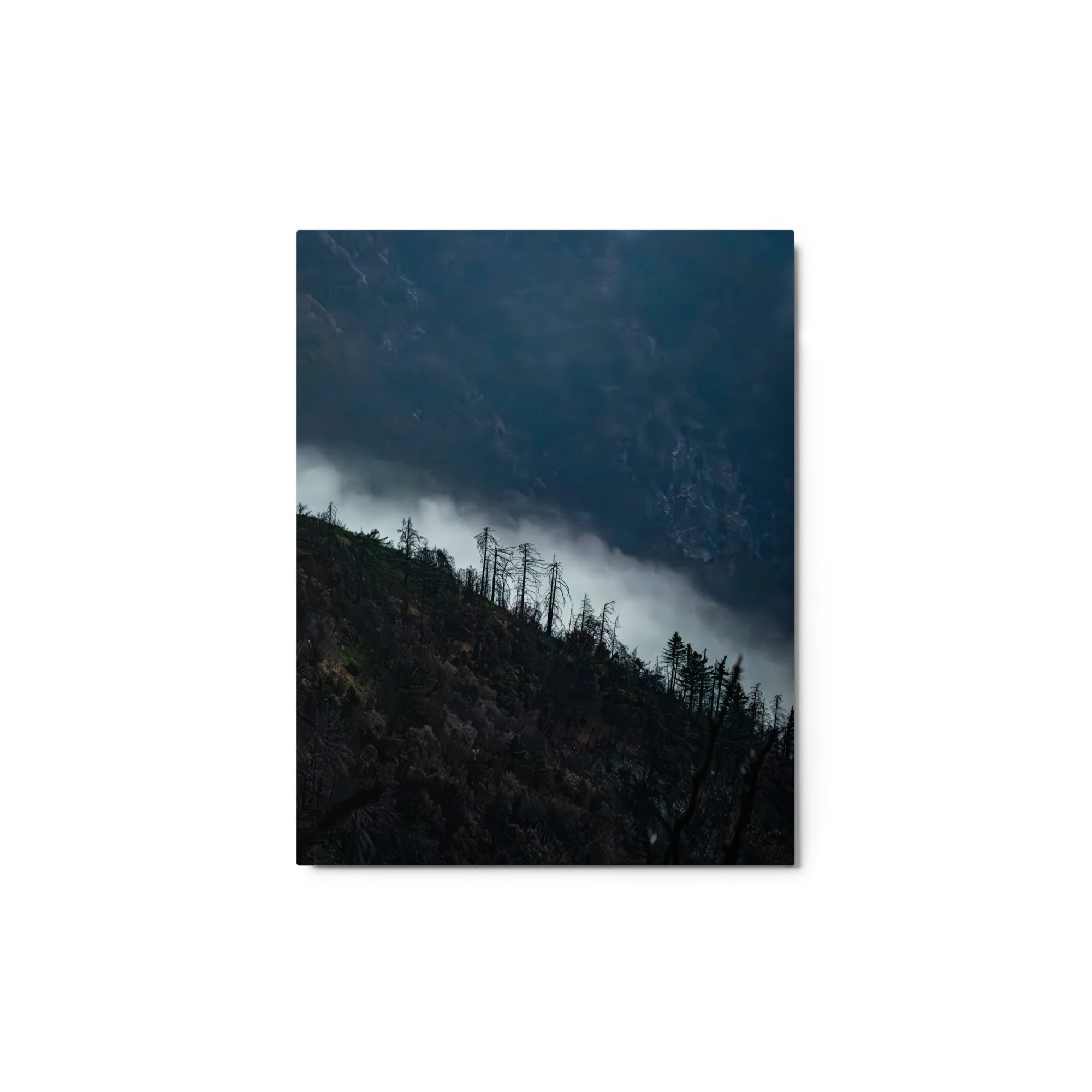 glossy-metal-print-(in)-white-11x14-front-6a4b95de547b2.jpg