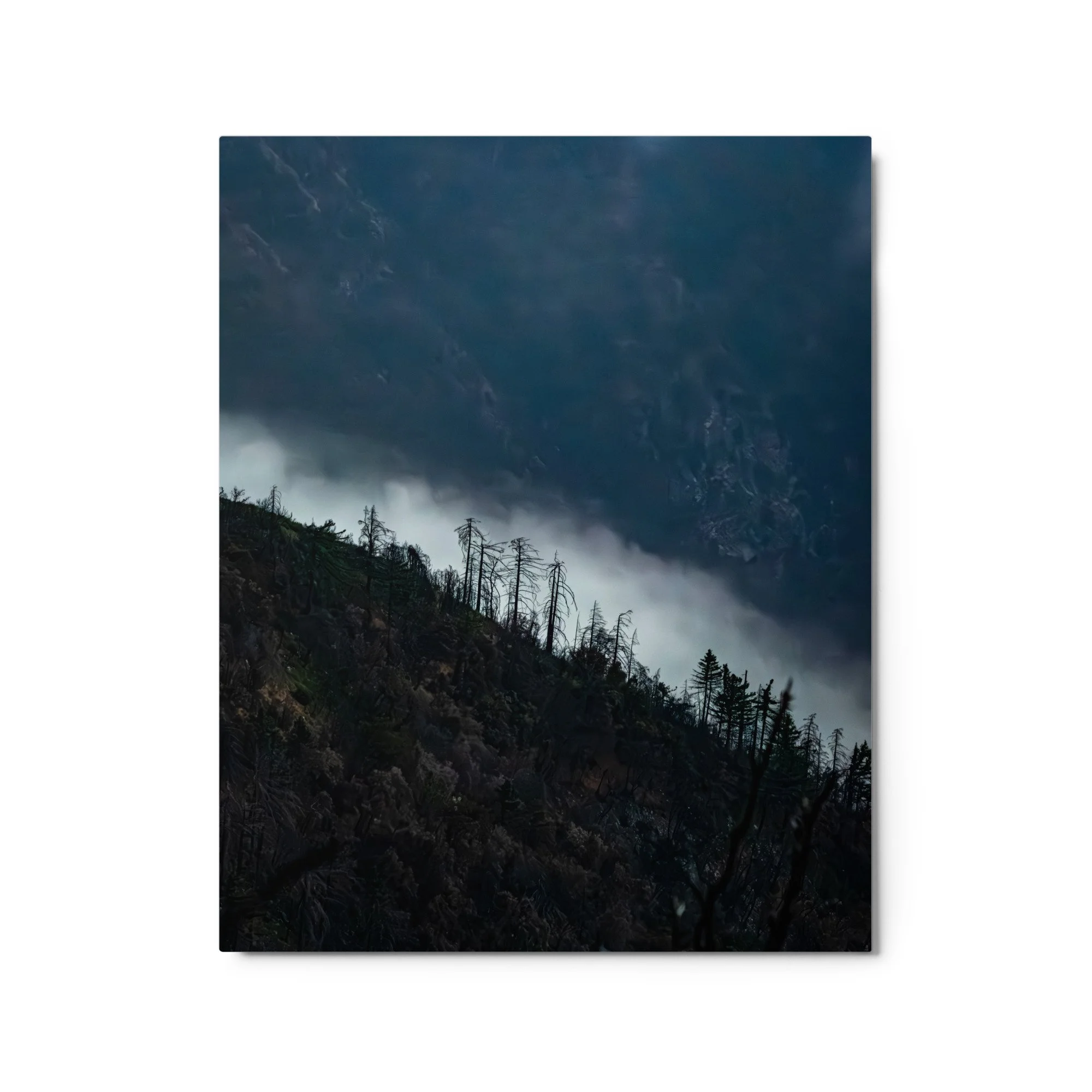 glossy-metal-print-(in)-white-16x20-front-6a4b95de547f3.jpg
