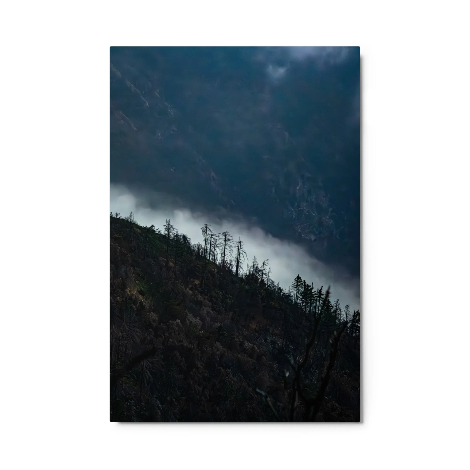 glossy-metal-print-(in)-white-24x36-front-6a4b95de5483c.jpg
