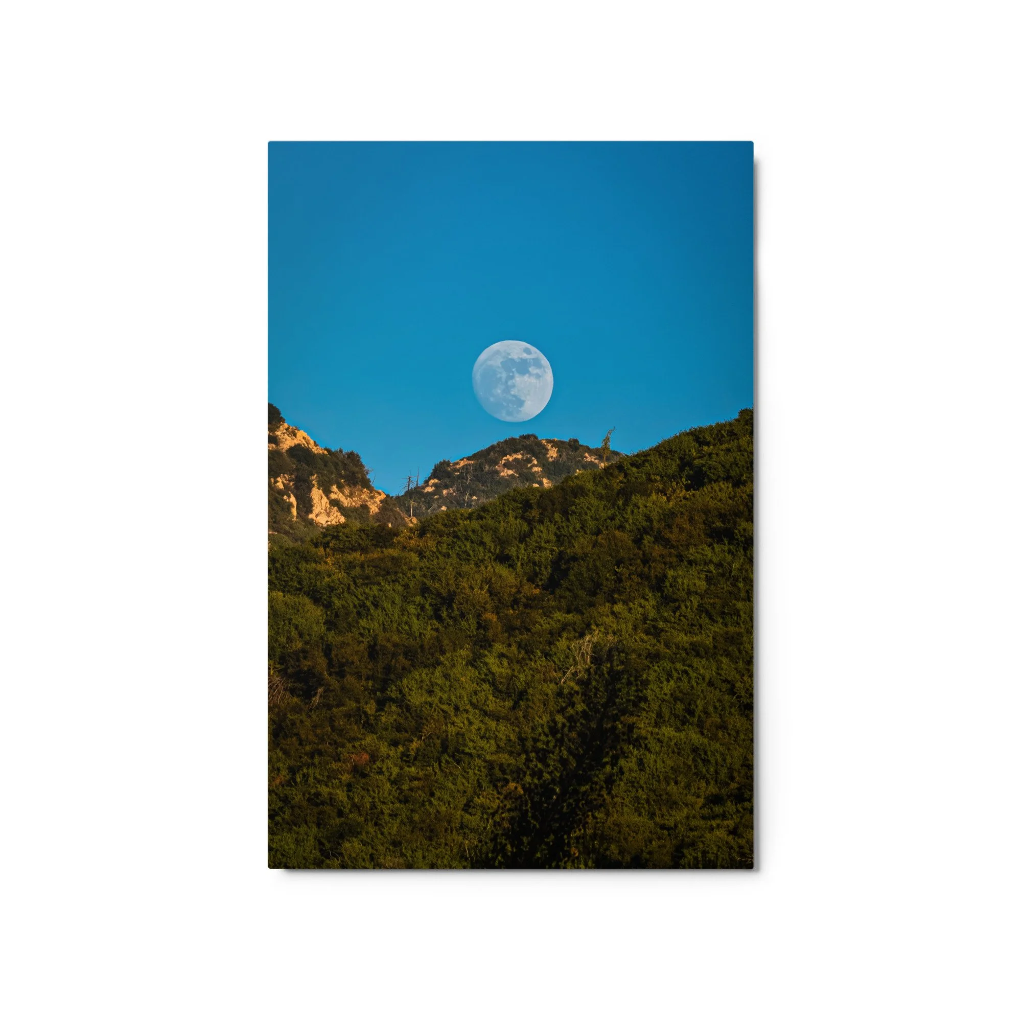 glossy-metal-print-(in)-white-20x30-front-6a4b987d20d99.jpg