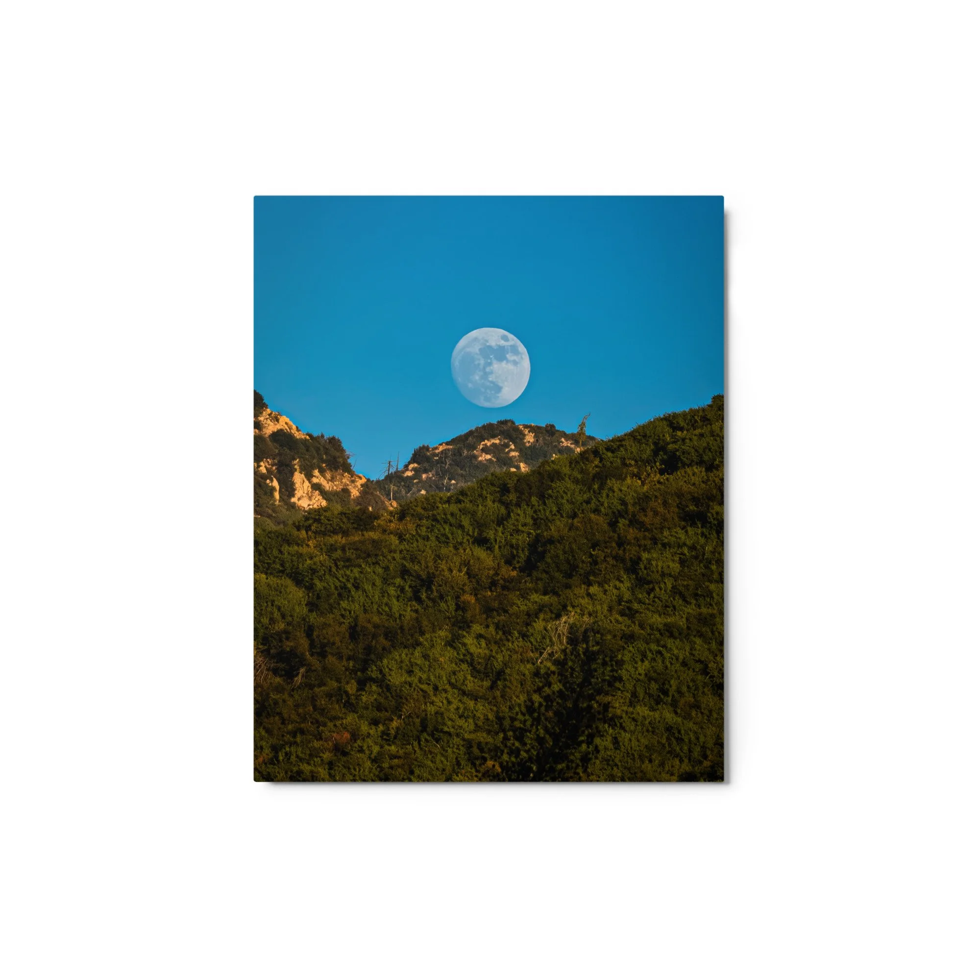 glossy-metal-print-(in)-white-8x10-front-6a4b987d21ced.jpg