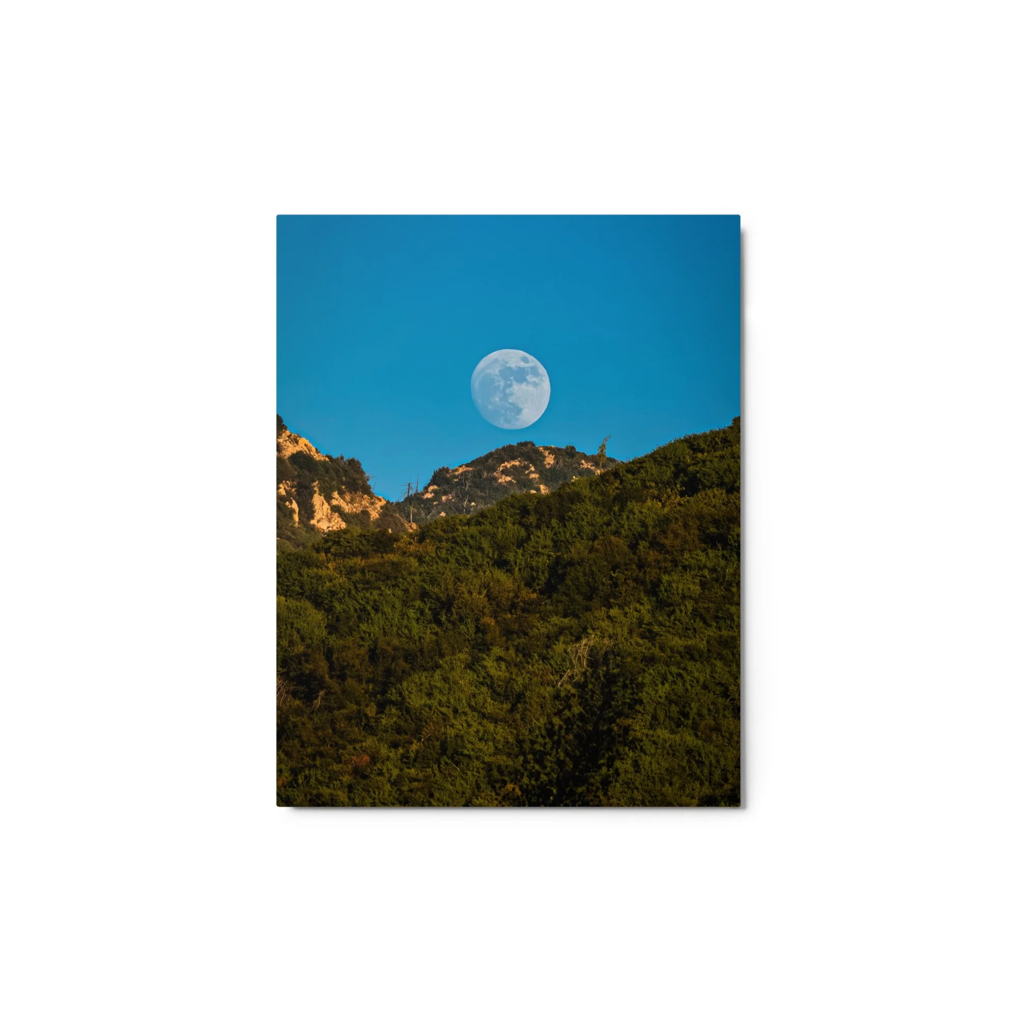 glossy-metal-print-(in)-white-11x14-front-6a4b987d21d86.jpg