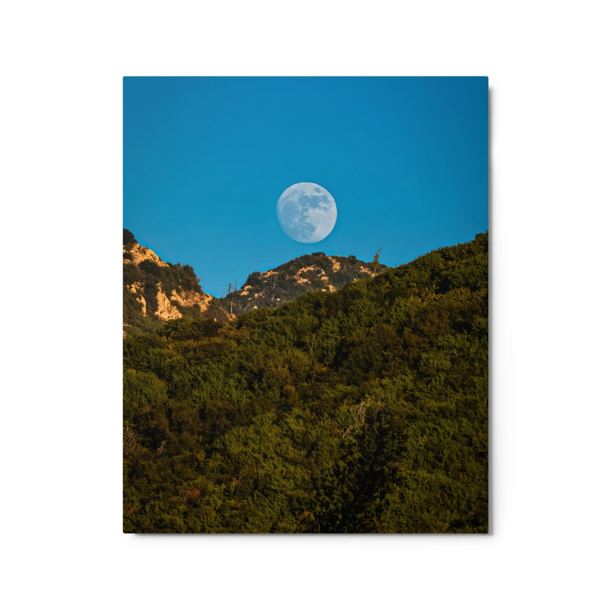 glossy-metal-print-(in)-white-16x20-front-6a4b987d21def.jpg