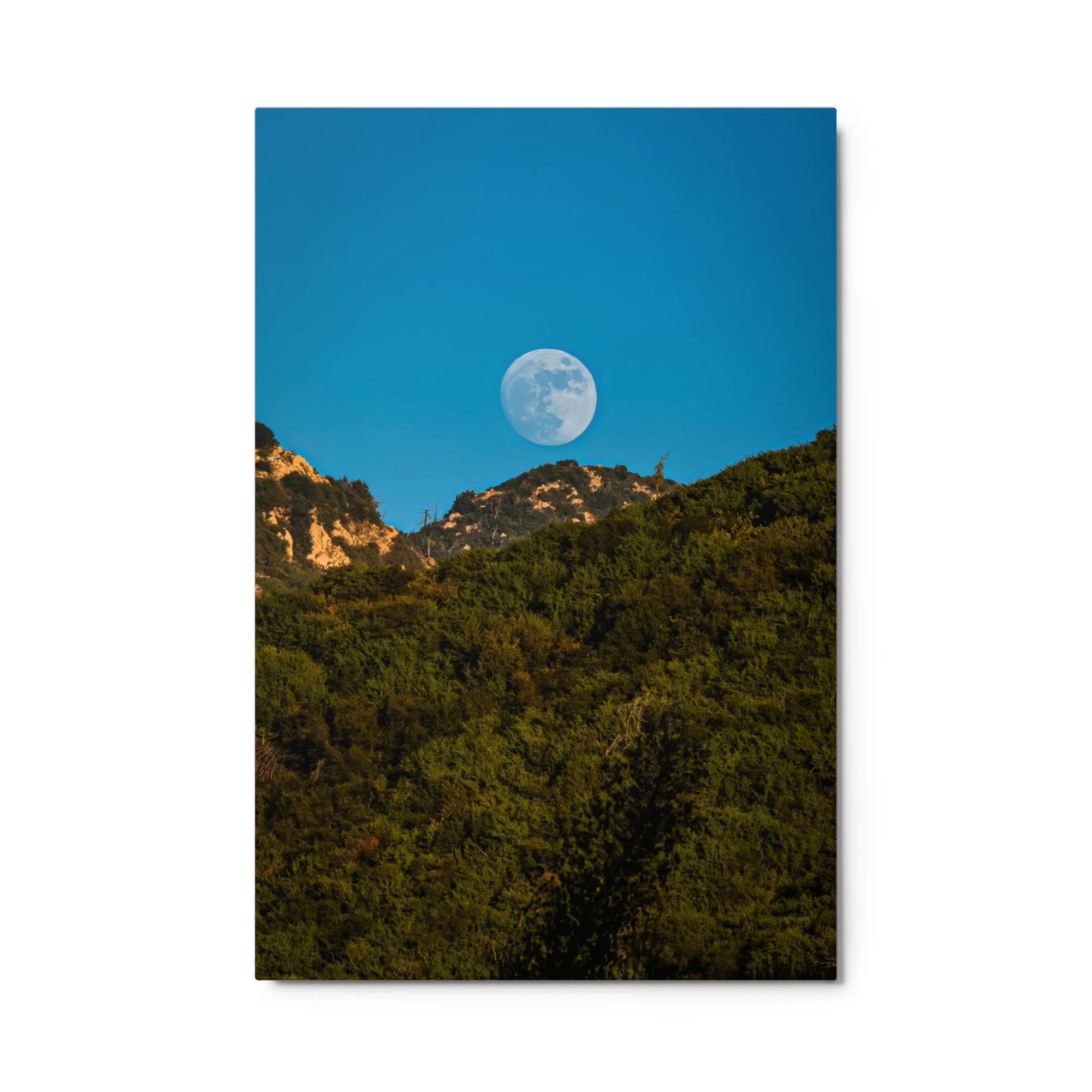 glossy-metal-print-(in)-white-24x36-front-6a4b987d21e67.jpg
