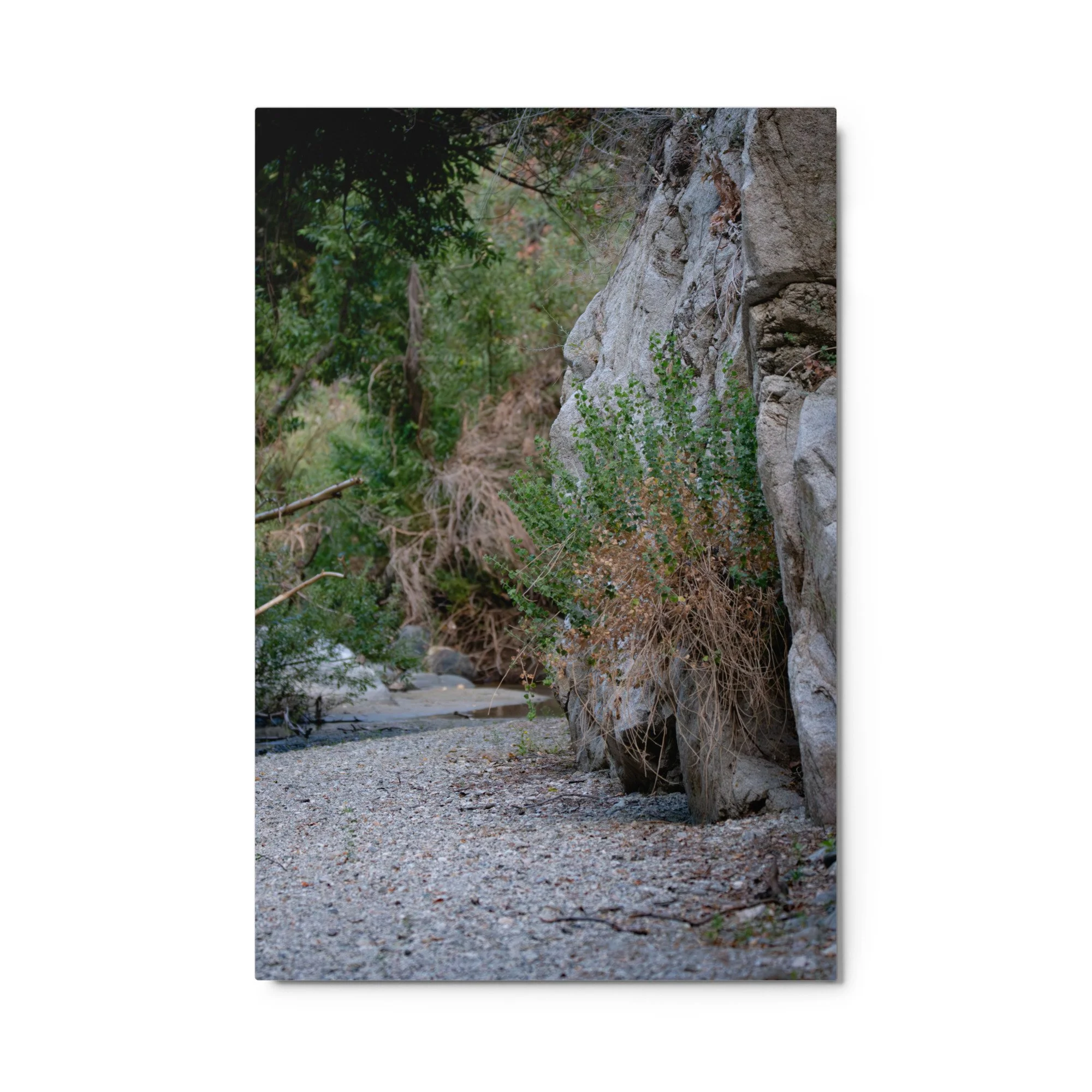 glossy-metal-print-(in)-white-24x36-front-6a4b9ce804ddc.jpg