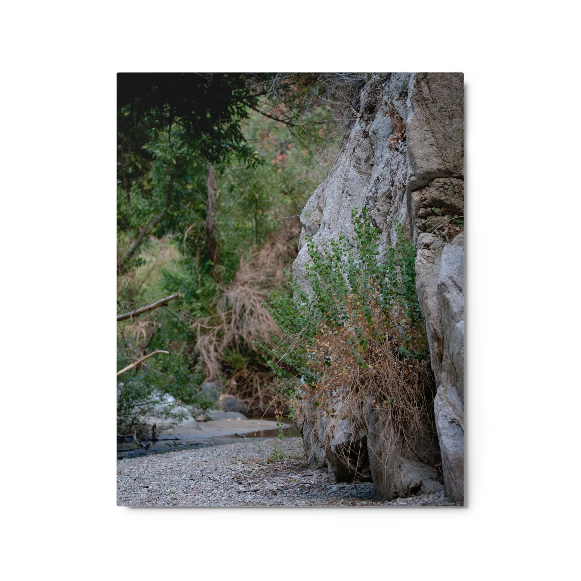 glossy-metal-print-(in)-white-16x20-front-6a4b9ce805db7.jpg