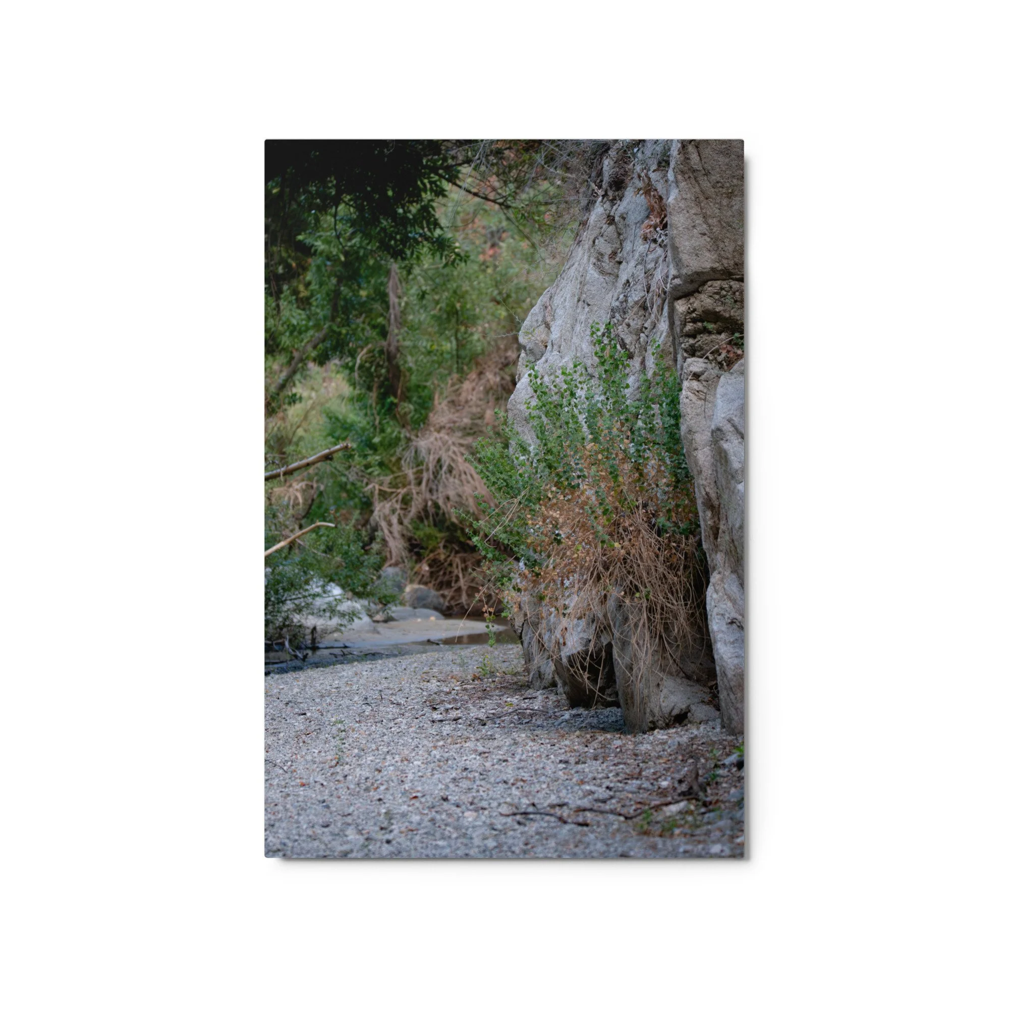 glossy-metal-print-(in)-white-20x30-front-6a4b9ce805e48.jpg